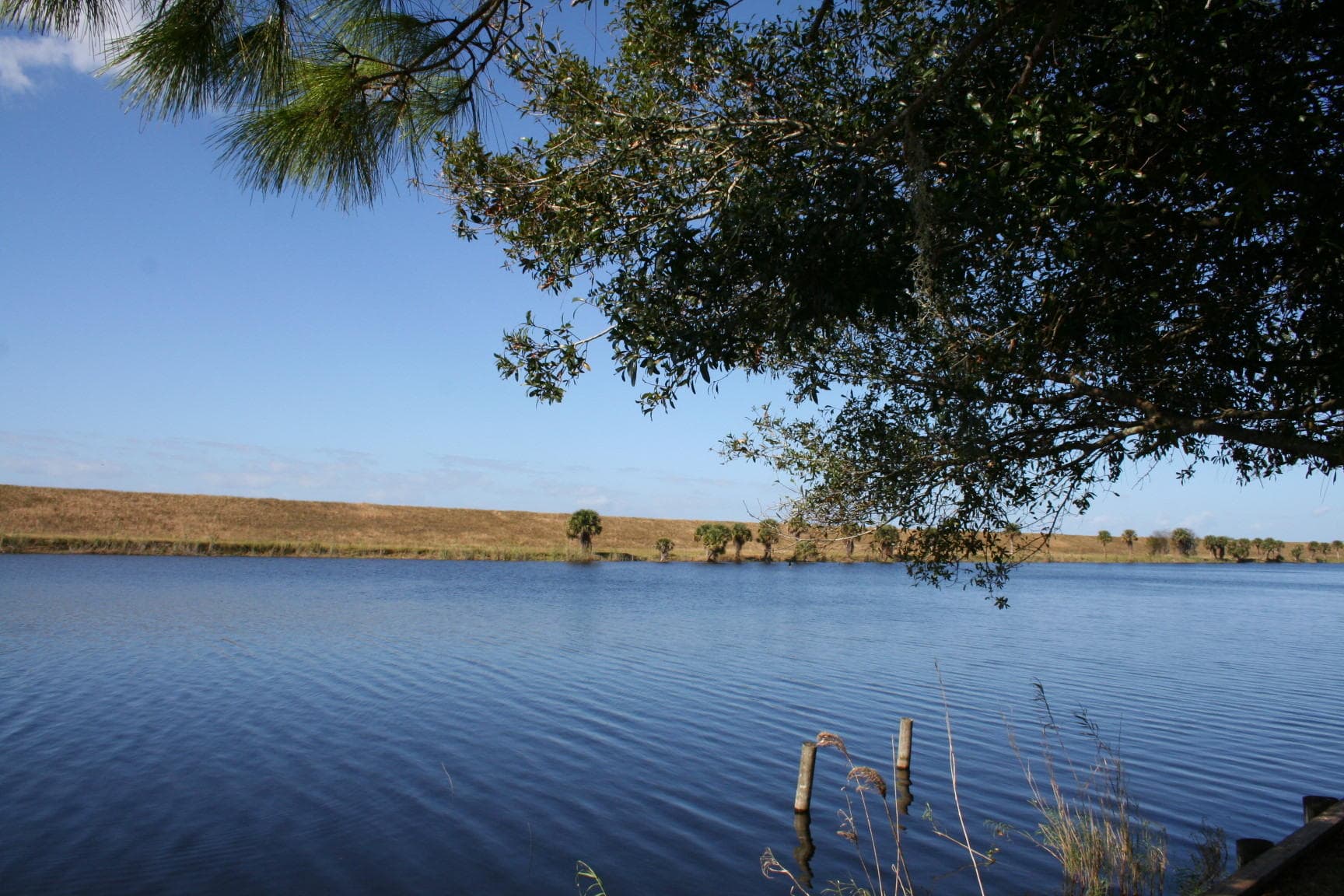 8101 SE 99th Trail, Okeechobee, FL 34974 — photo 38 of 52