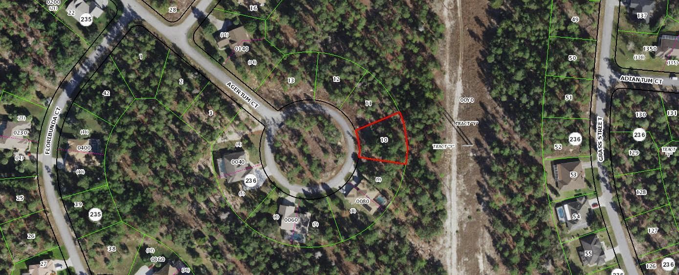 29 Ageratum Court, Homosassa, FL 34446 — photo 3 of 3