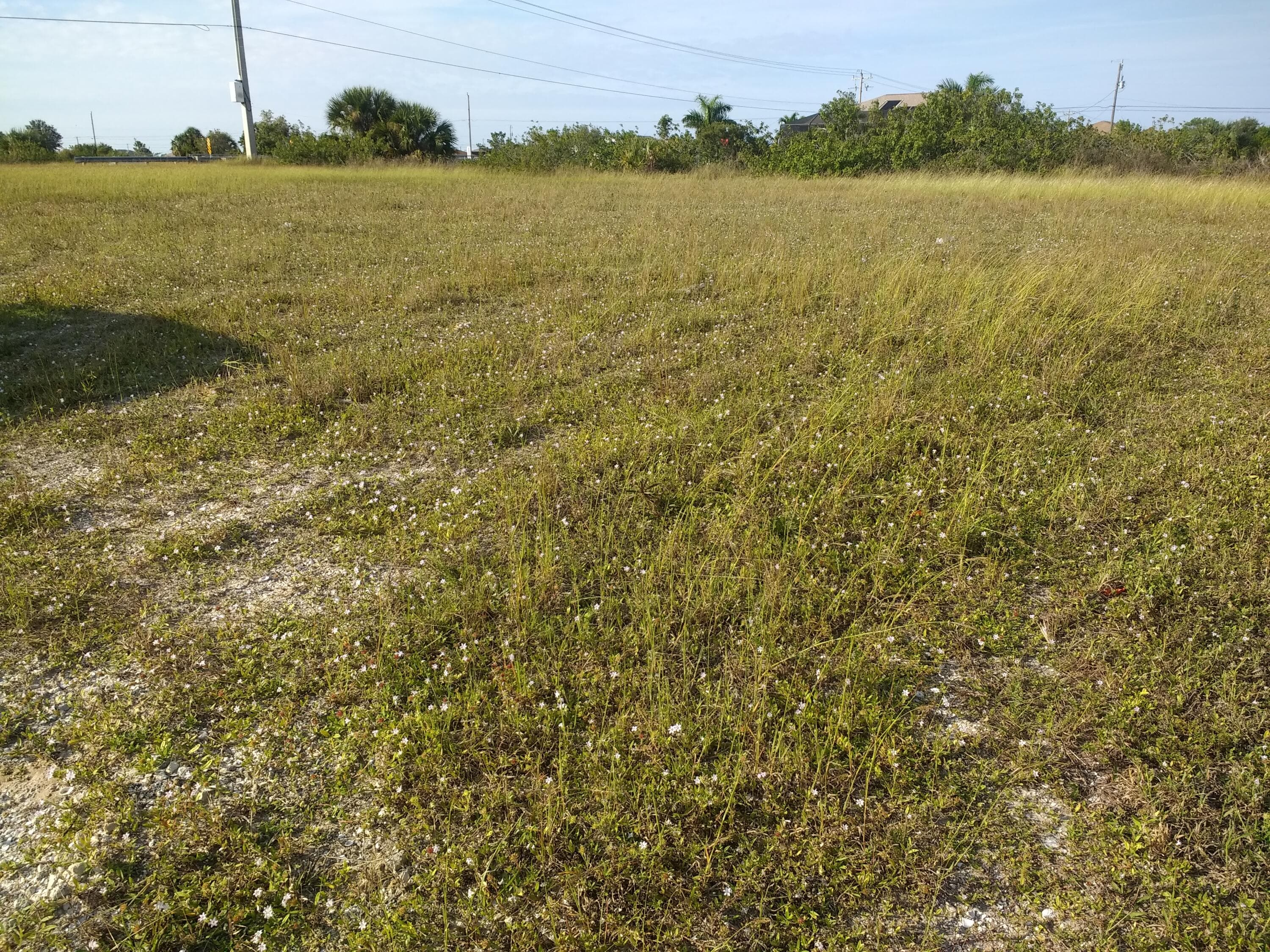 725 NW 8th Terrace, Cape Coral, FL 33993 — photo 3 of 18