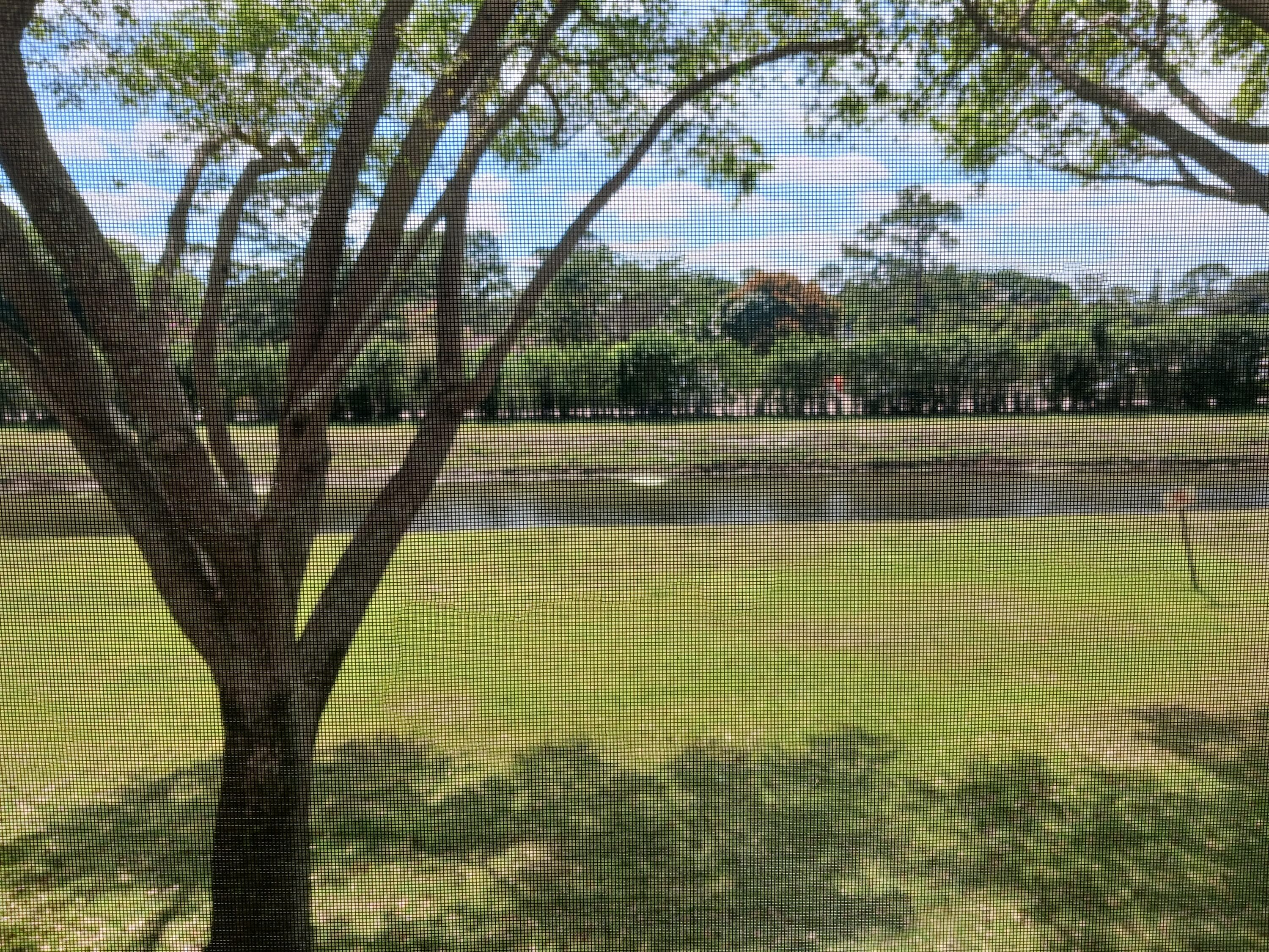 4734 Lucerne Lakes Boulevard 212, Lake Worth, FL 33467 — photo 8 of 9