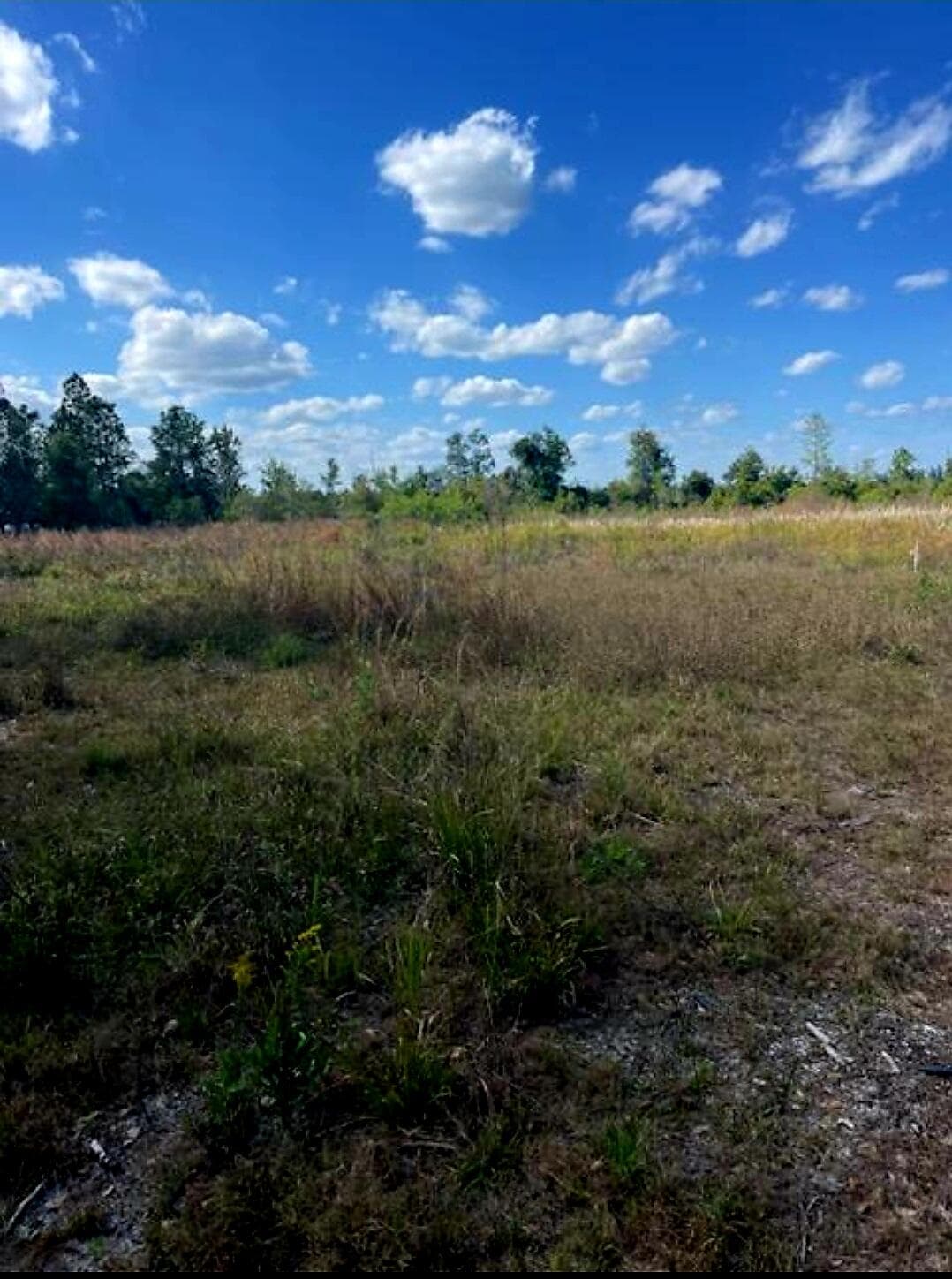 1108306 Oil Well Road, Clermont, FL 34714 — photo