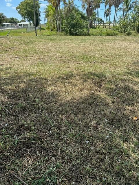 501 W Baines Terrace, Pahokee, FL 33476 — photo 7 of 8
