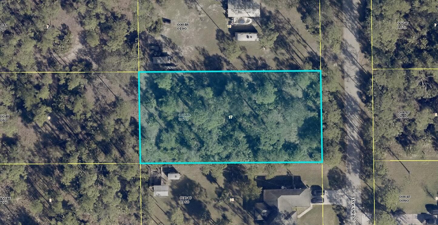 2309 Johns Avenue, Alva, FL 33920 — photo 9 of 13