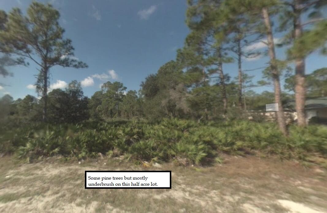 2309 Johns Avenue, Alva, FL 33920 — photo 5 of 13