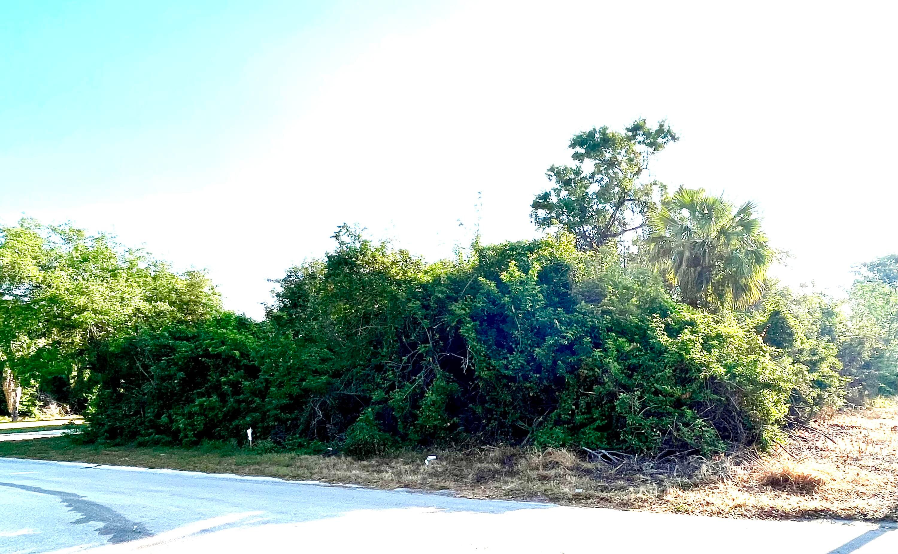 2336 13th Avenue SW, Vero Beach, FL 32962 — photo 4 of 6