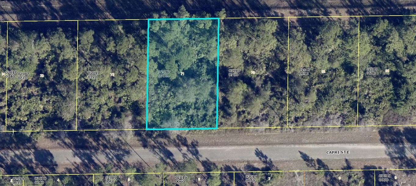 1113 Capri Street E, Lehigh Acres, FL 33974 — photo 1 of 3