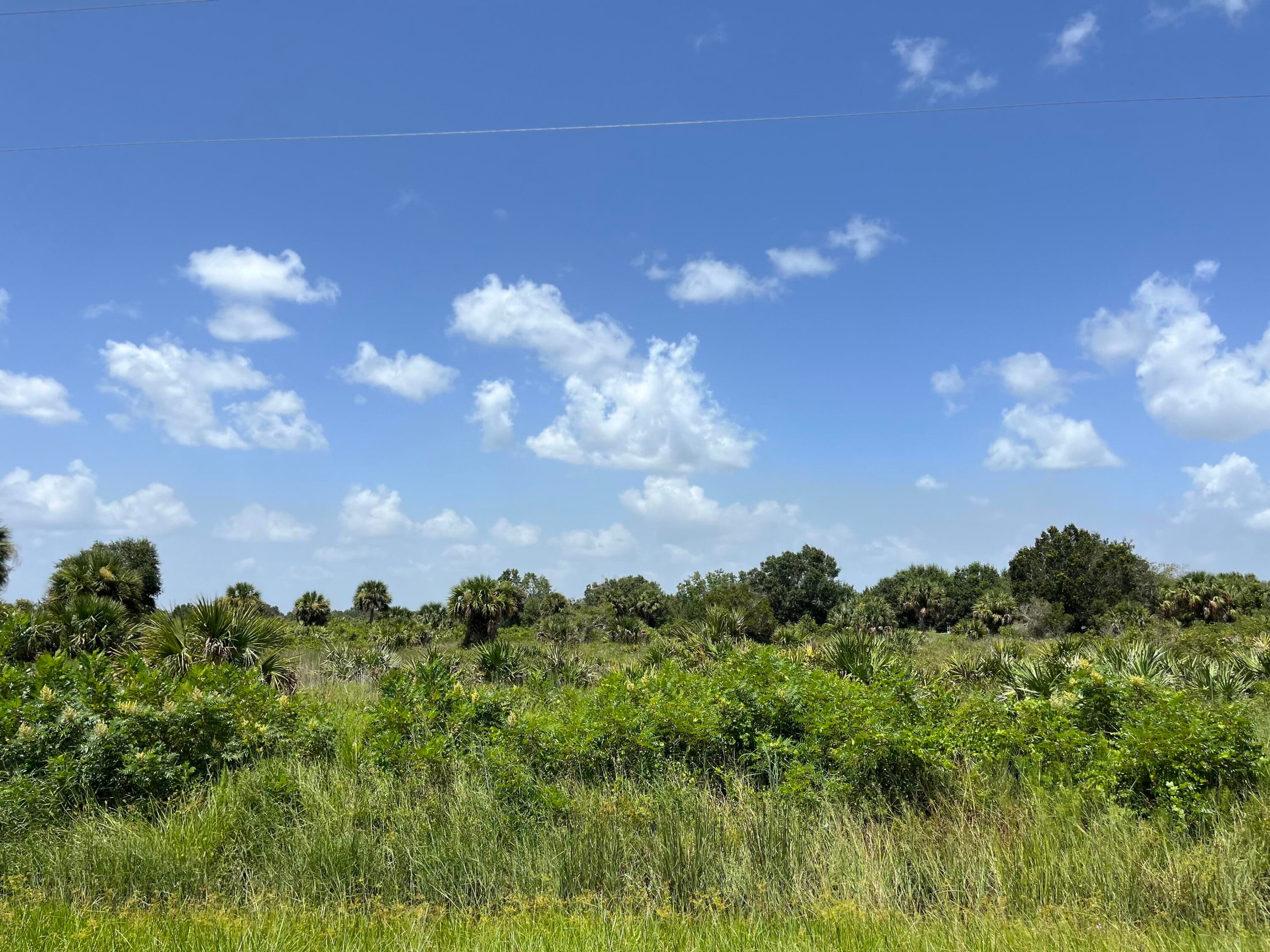 18325 NW 278th Street, Okeechobee, FL 34972 — photo 2 of 19