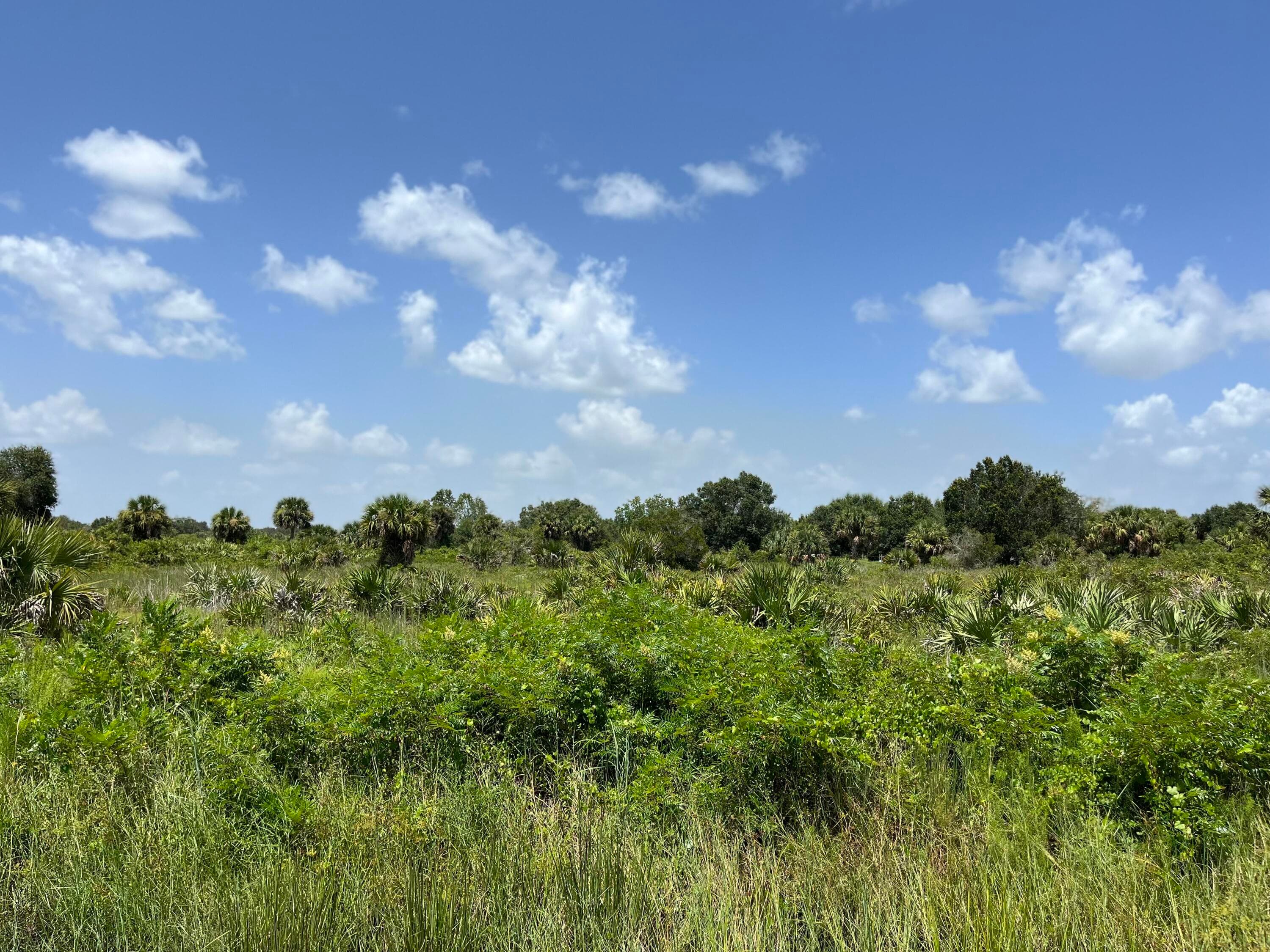 18325 NW 278th Street, Okeechobee, FL 34972 — photo 8 of 19