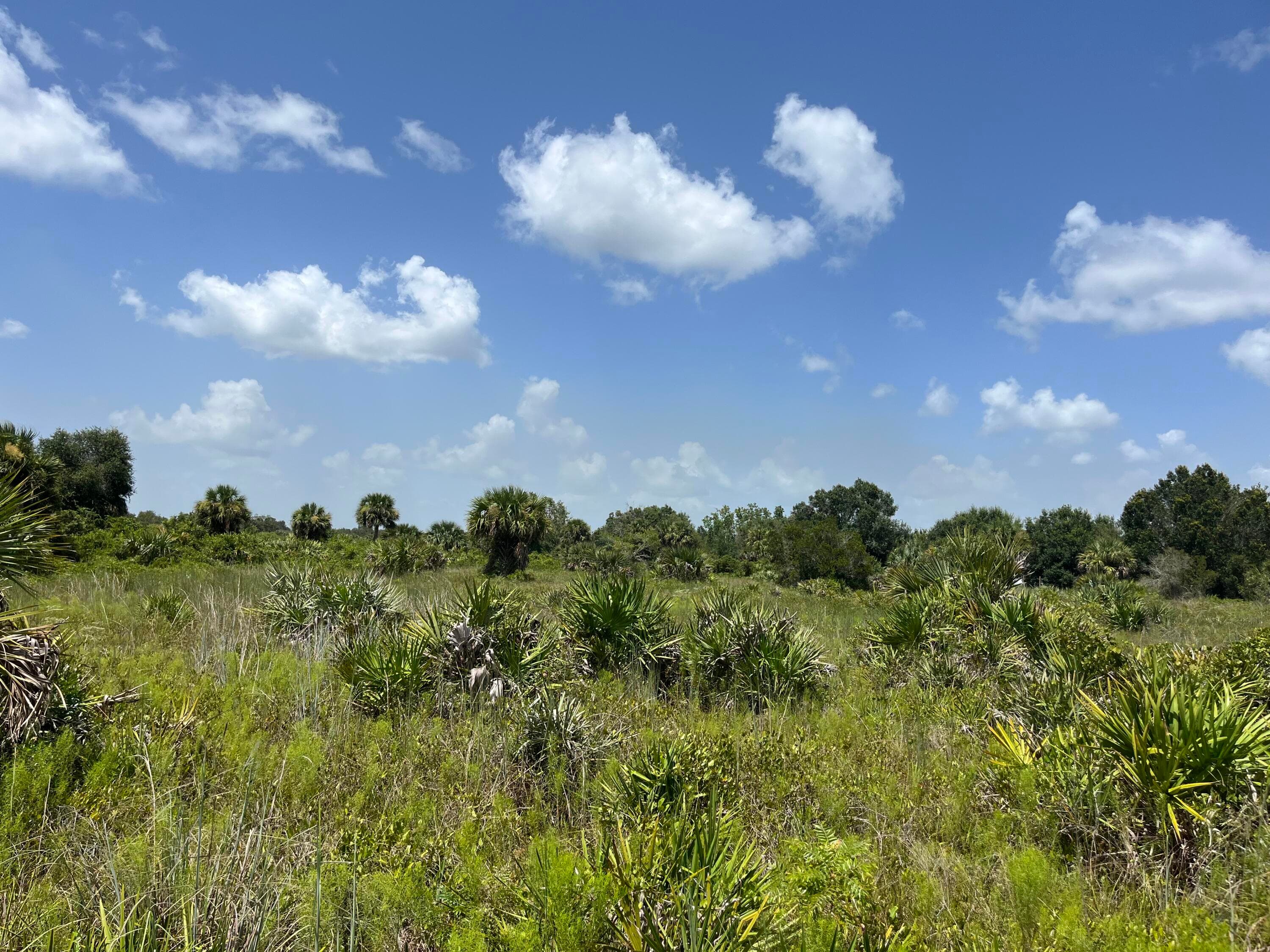 18325 NW 278th Street, Okeechobee, FL 34972 — photo 5 of 19