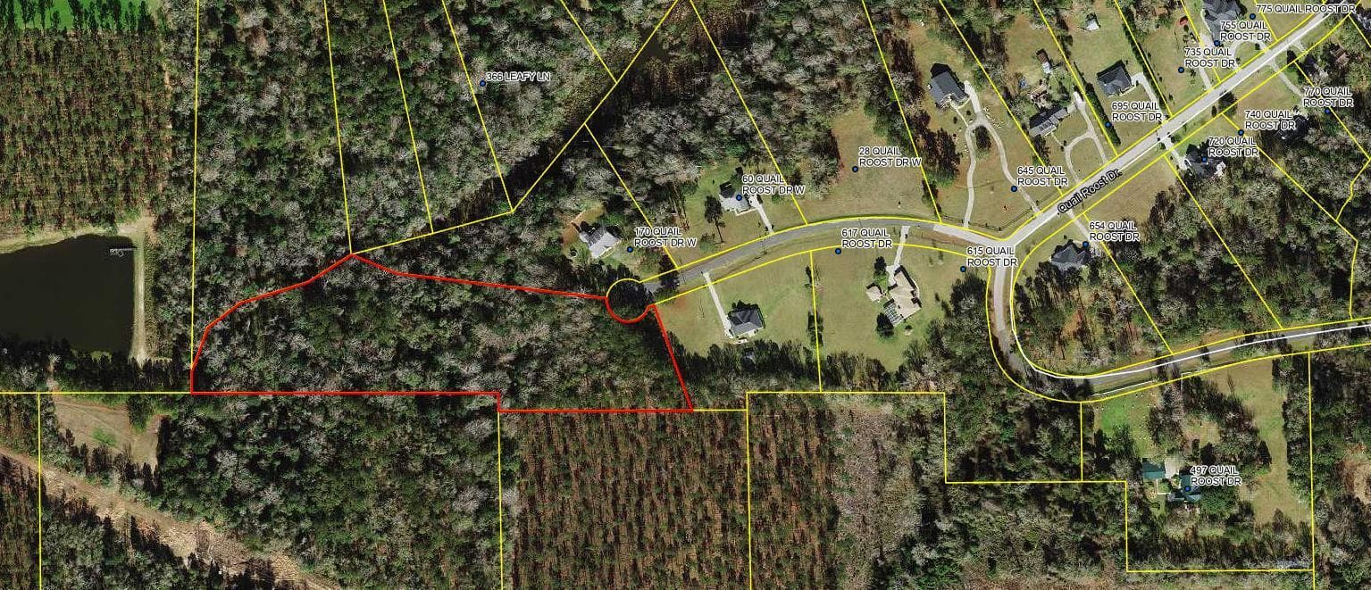 Tbd W Quail Roost Drive, Quincy, FL 32352 — photo 3 of 3