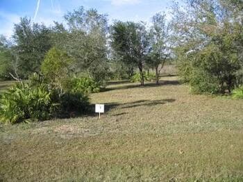 000 Canoe Creek Road, Kenansville, FL 34739 — photo 5 of 5