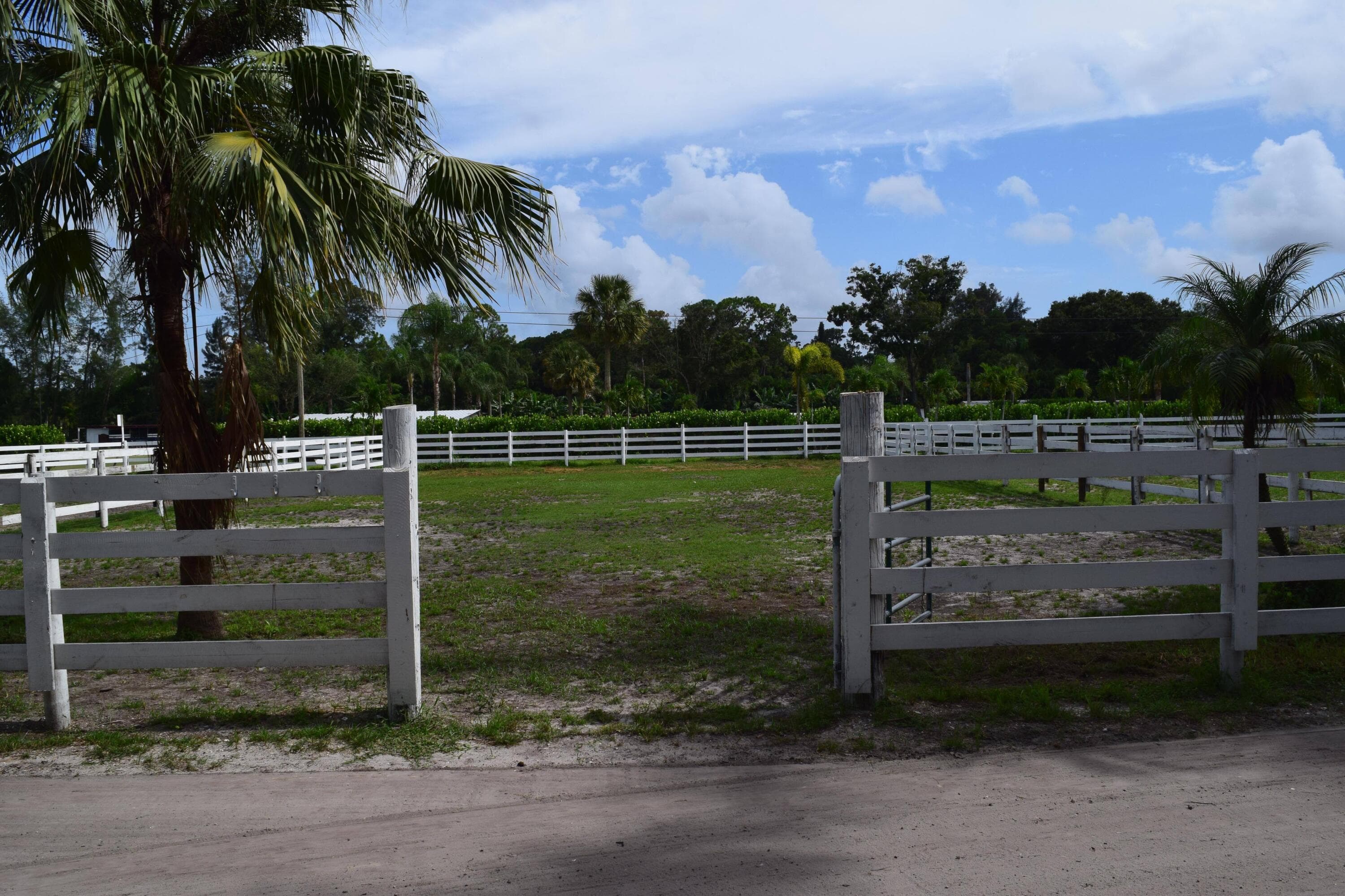 1100 D Road, Loxahatchee Groves, FL 33470 — photo 15 of 25