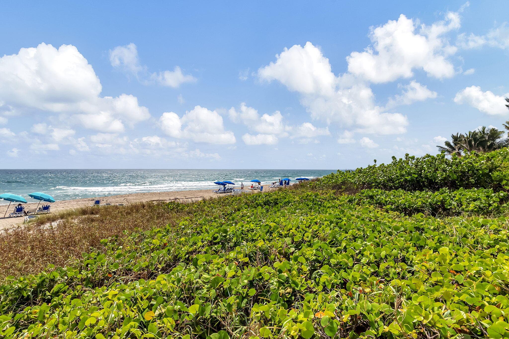 2727 S Ocean Boulevard 403, Highland Beach, FL 33487 — photo 35 of 84