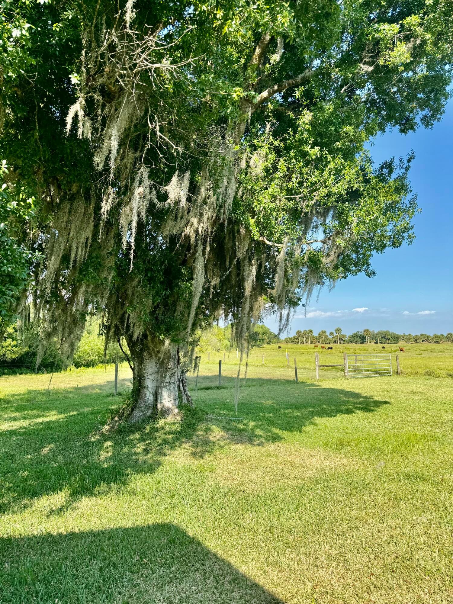 5200 Us Highway 98, Okeechobee, FL 34972 — photo 24 of 34