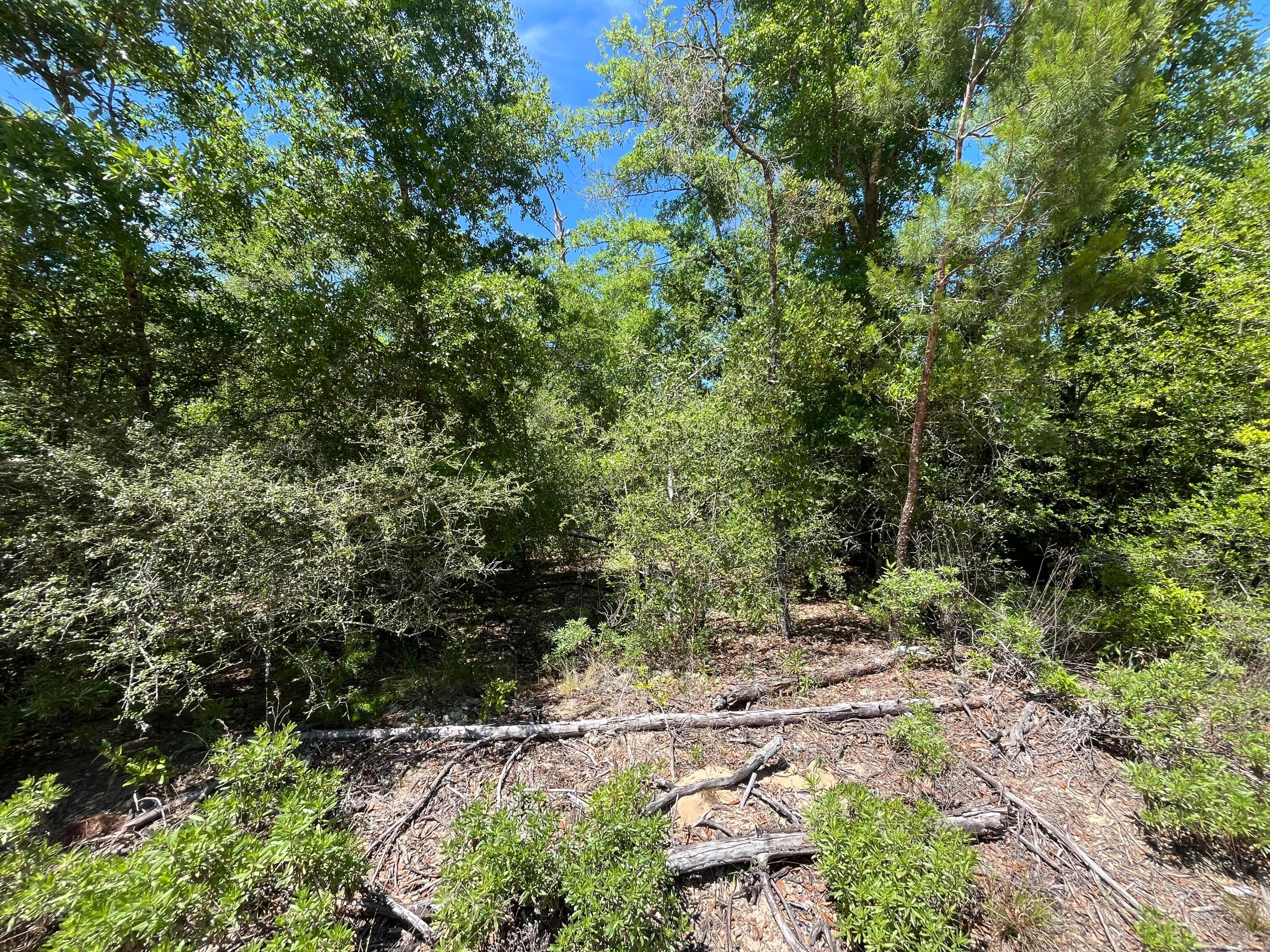 0 Hocking Street, Alford, FL 32420 — photo 4 of 7