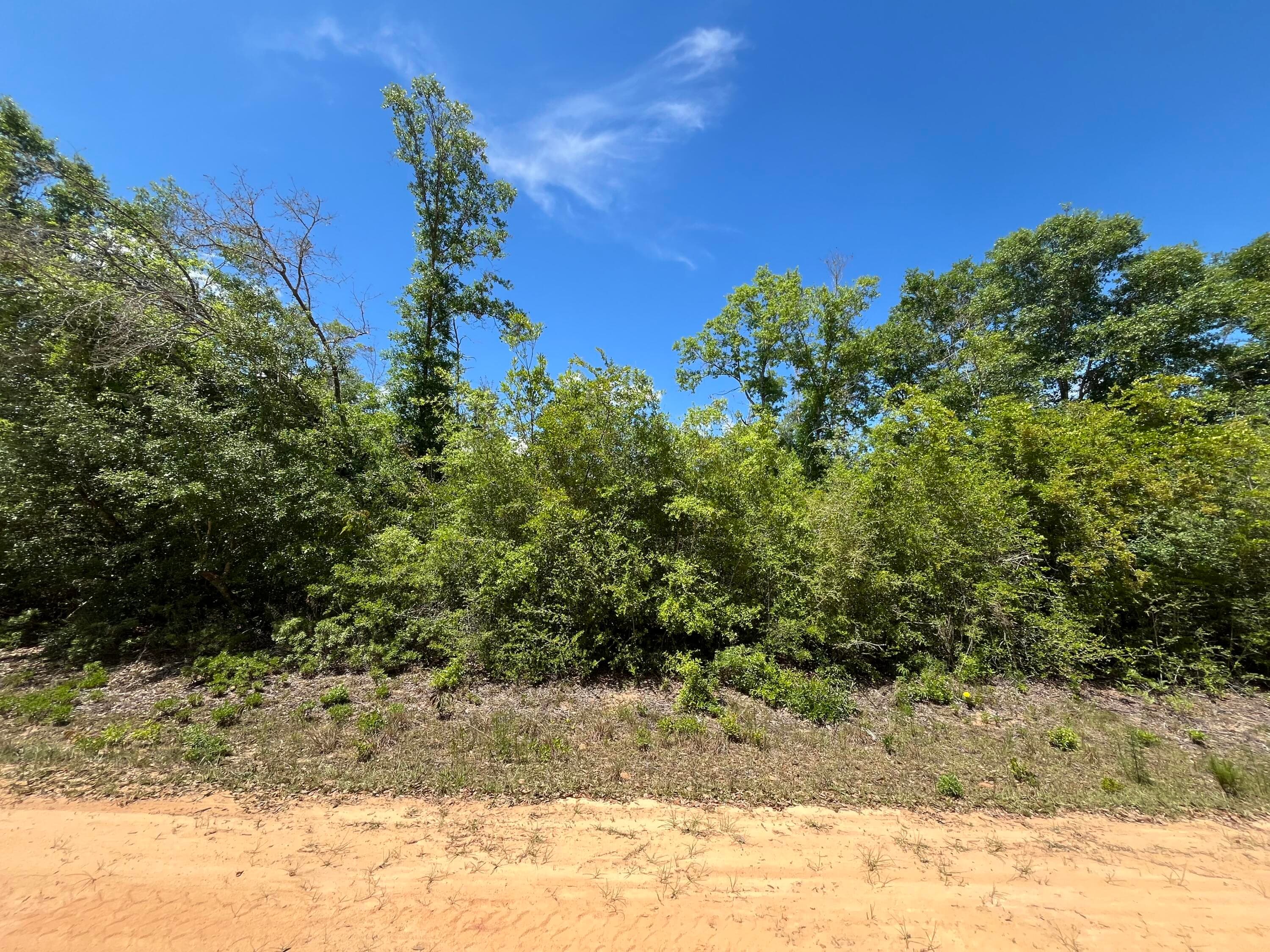 0 Hocking Street, Alford, FL 32420 — photo 5 of 7