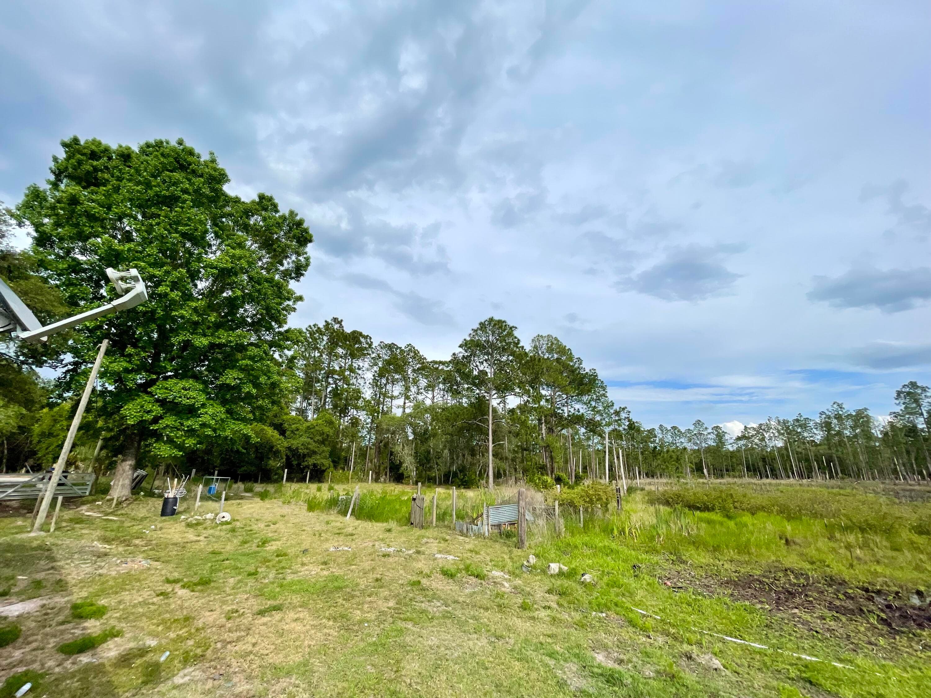 42111 Chinaberry Court, Eustis, FL 32736 — photo 39 of 67