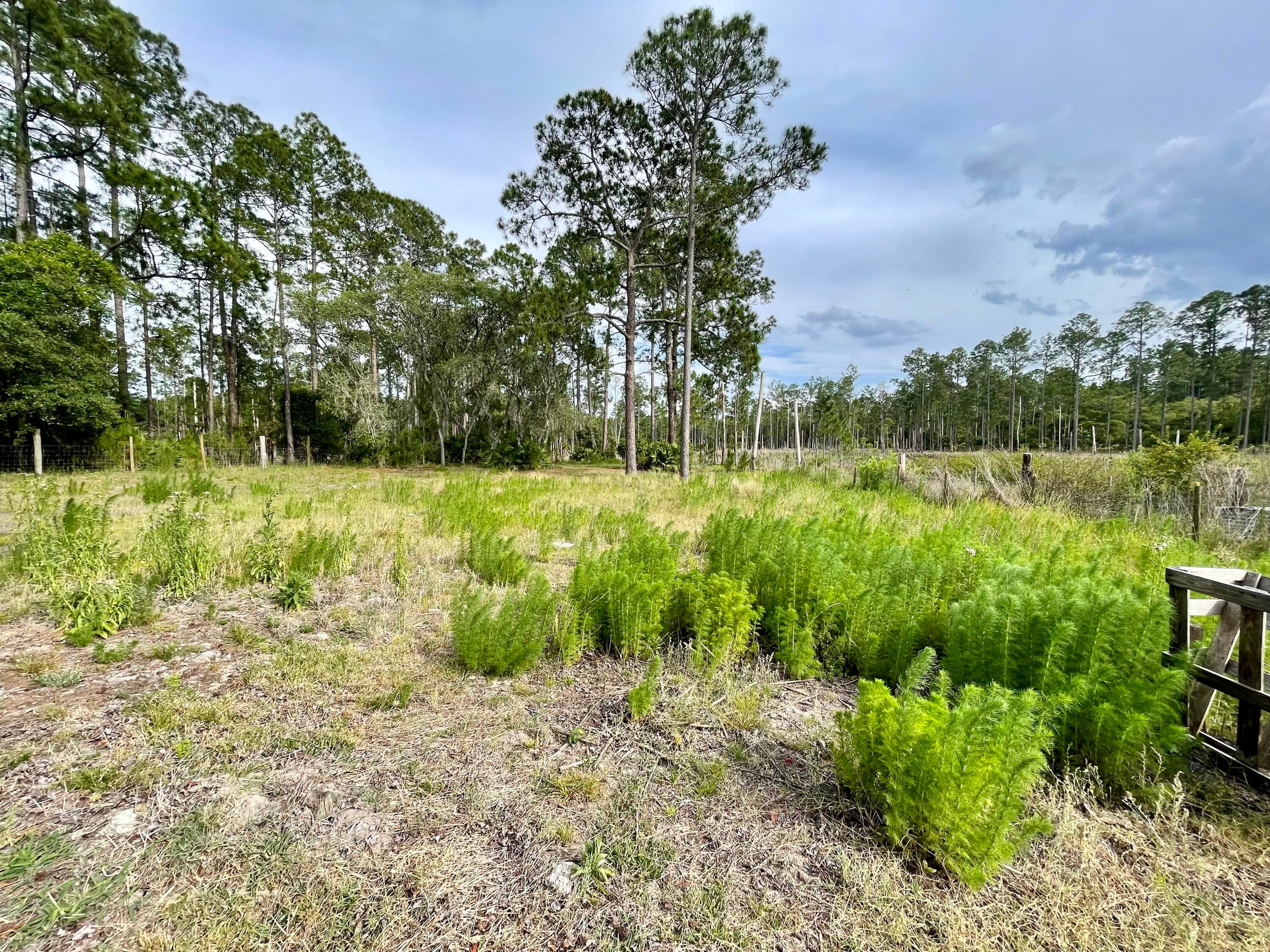 42111 Chinaberry Court, Eustis, FL 32736 — photo 57 of 67