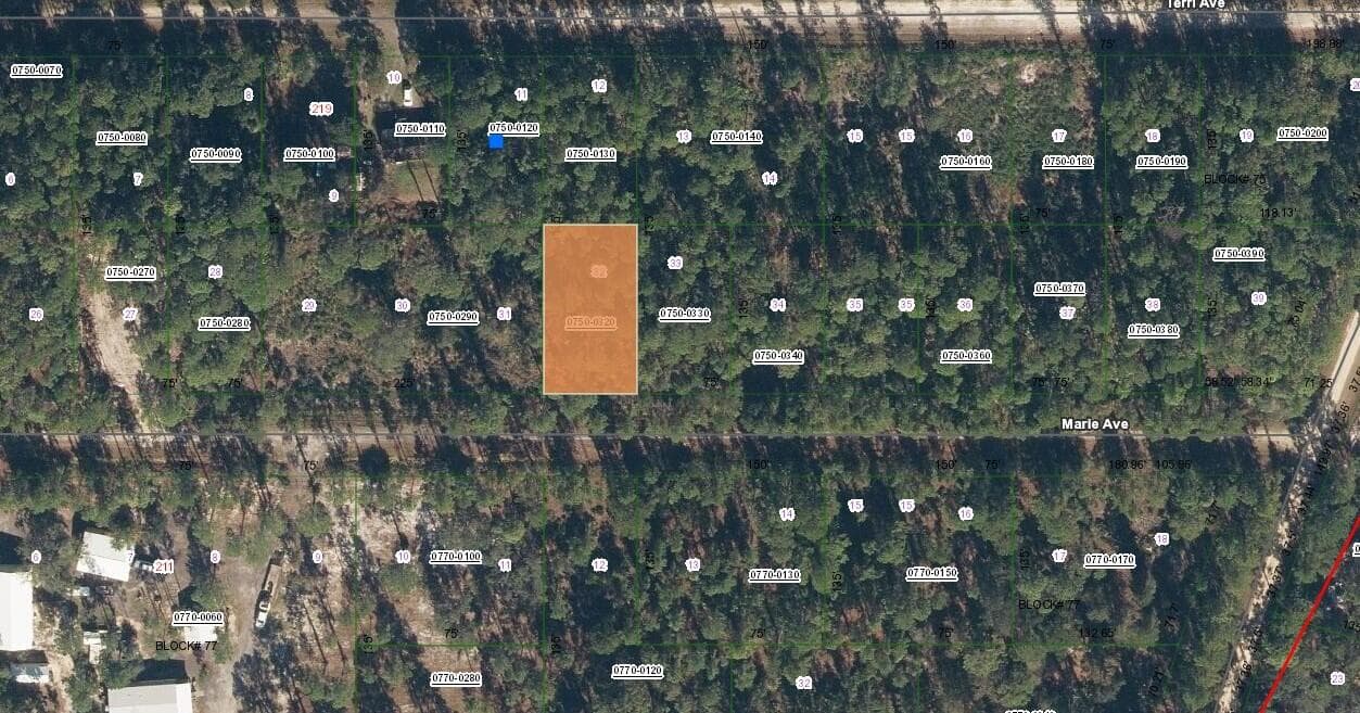 222 Marie Avenue, Georgetown, FL 32139 — photo 3 of 13
