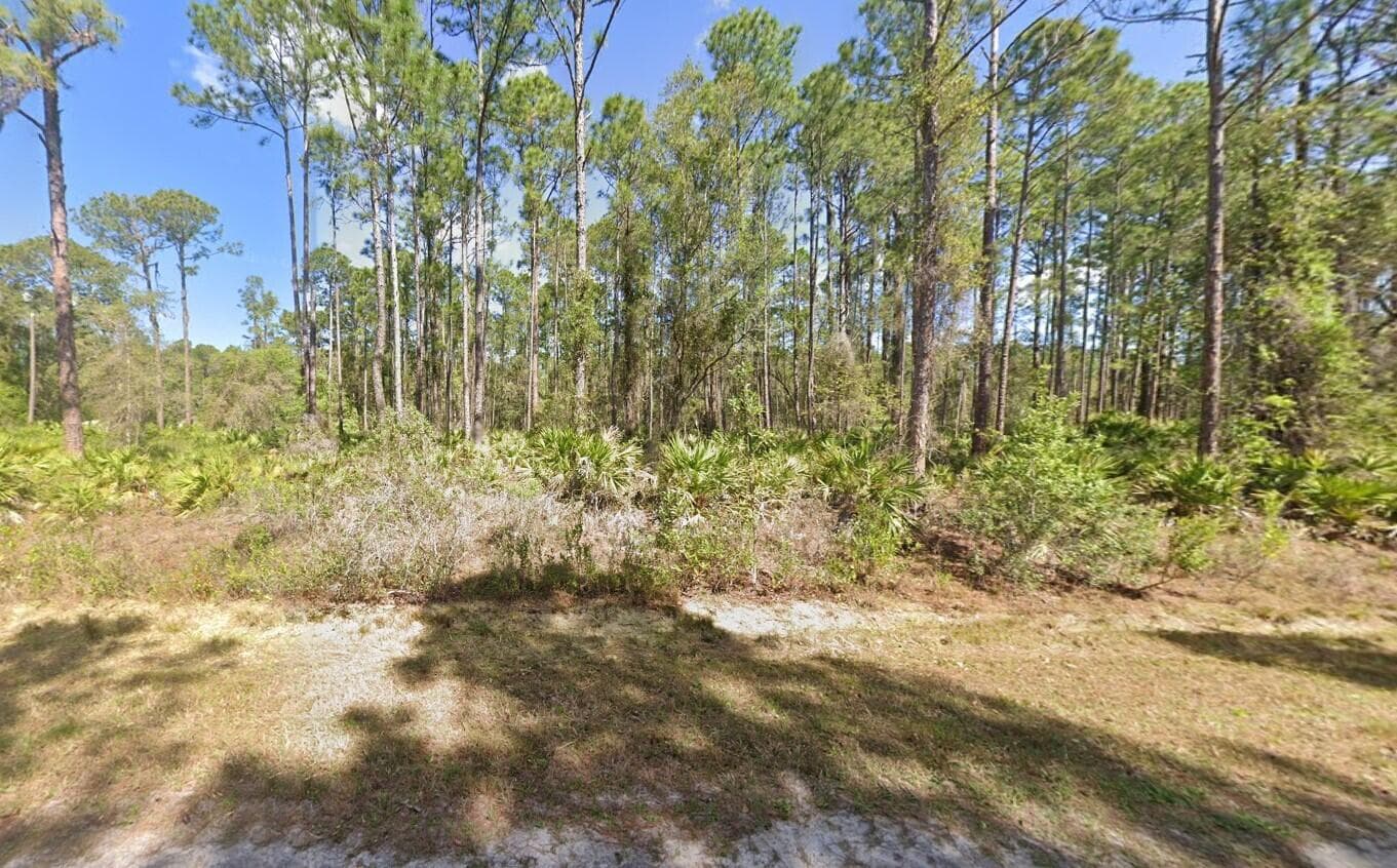 222 Marie Avenue, Georgetown, FL 32139 — photo 8 of 13