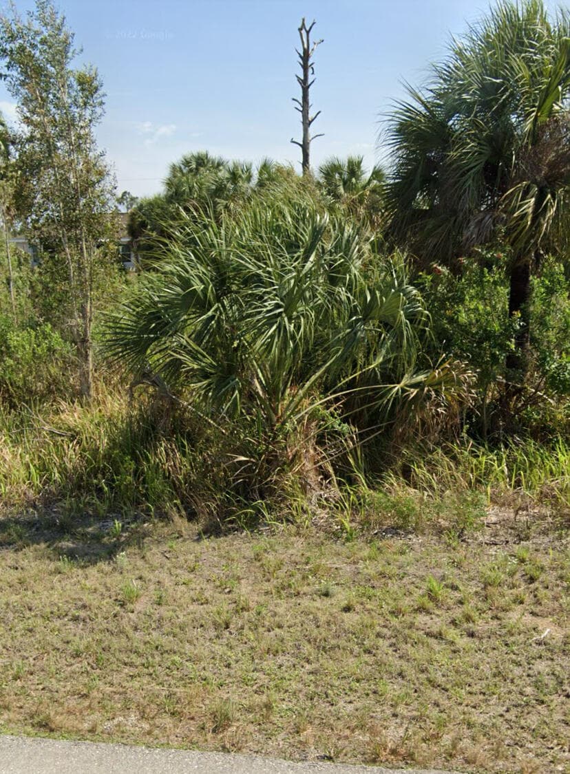 2807 W 24th Street W, Lehigh Acres, FL 33971 — photo 3 of 4