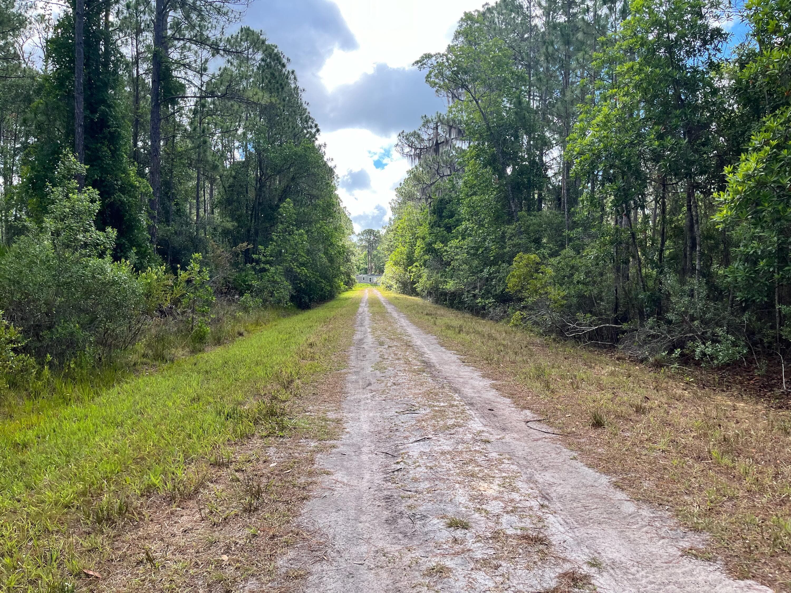 222 Marie Avenue, Georgetown, FL 32139 — photo 10 of 13