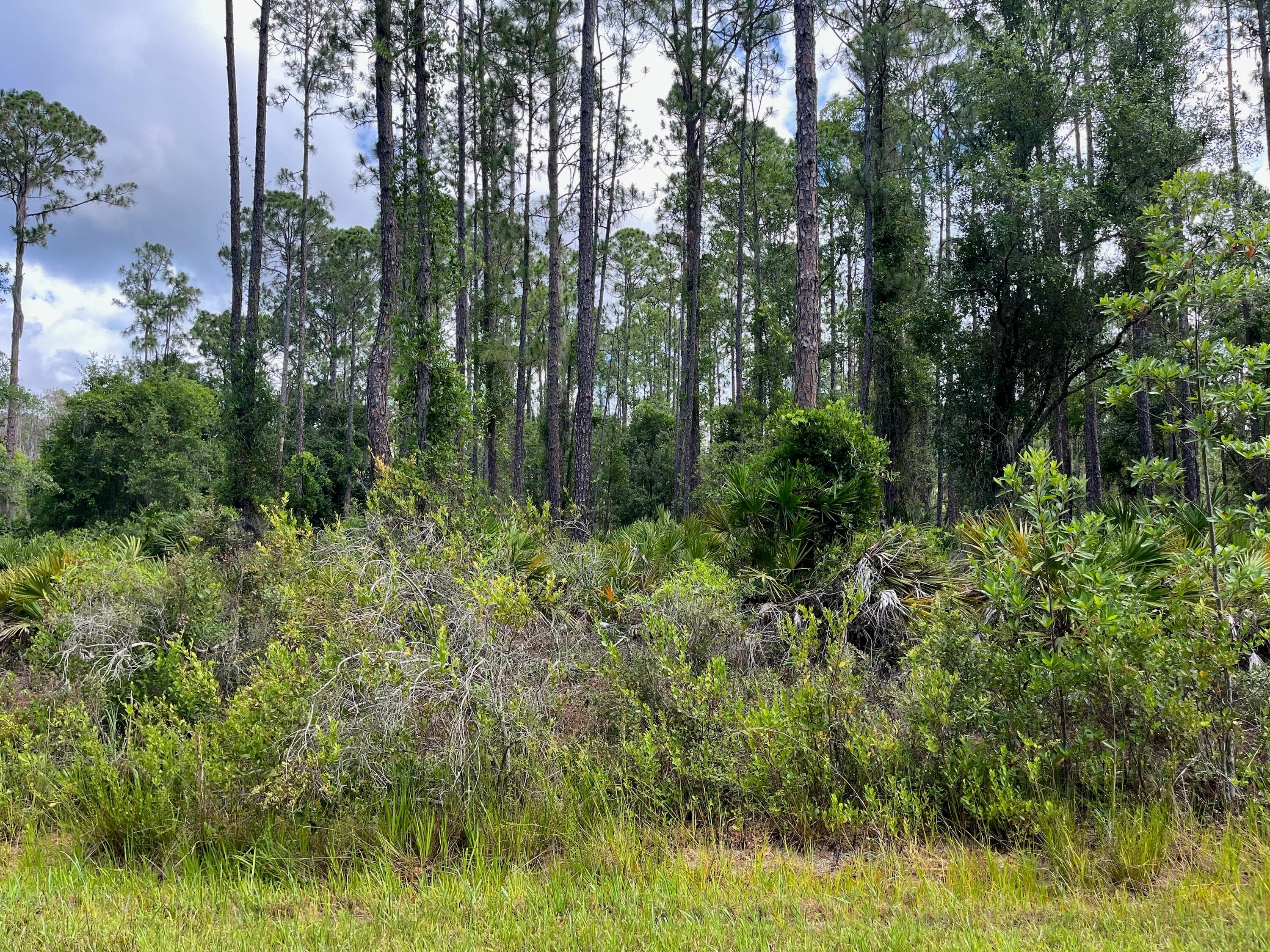 222 Marie Avenue, Georgetown, FL 32139 — photo 11 of 13