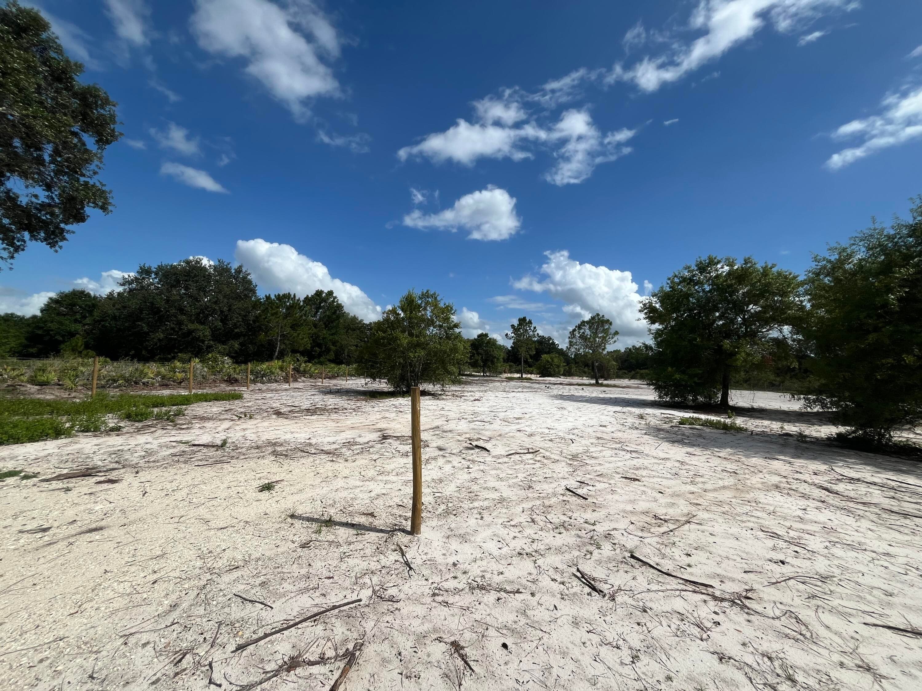 16916 NW 262nd Street, Okeechobee, FL 34972 — photo 5 of 8