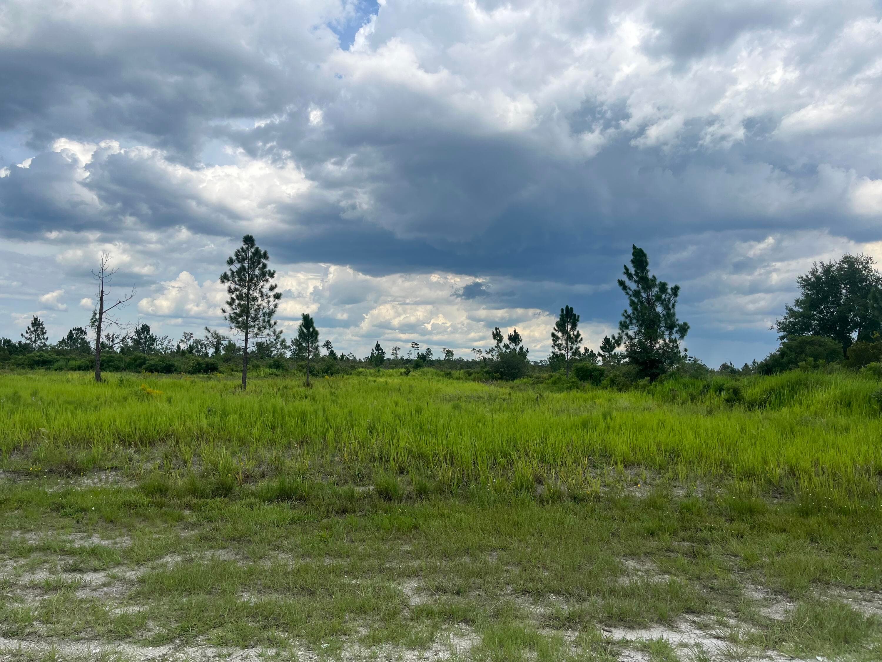 0 Pinnata Drive, Lake Wales, FL 33898 — photo