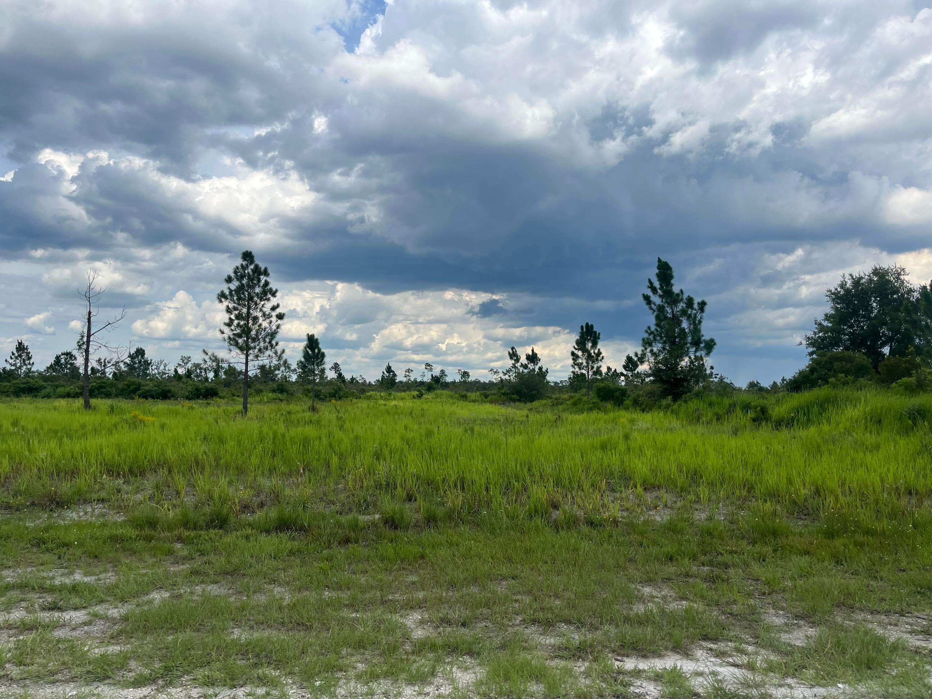 0 Pinnata Drive, Lake Wales, FL 33898 — photo 2 of 10