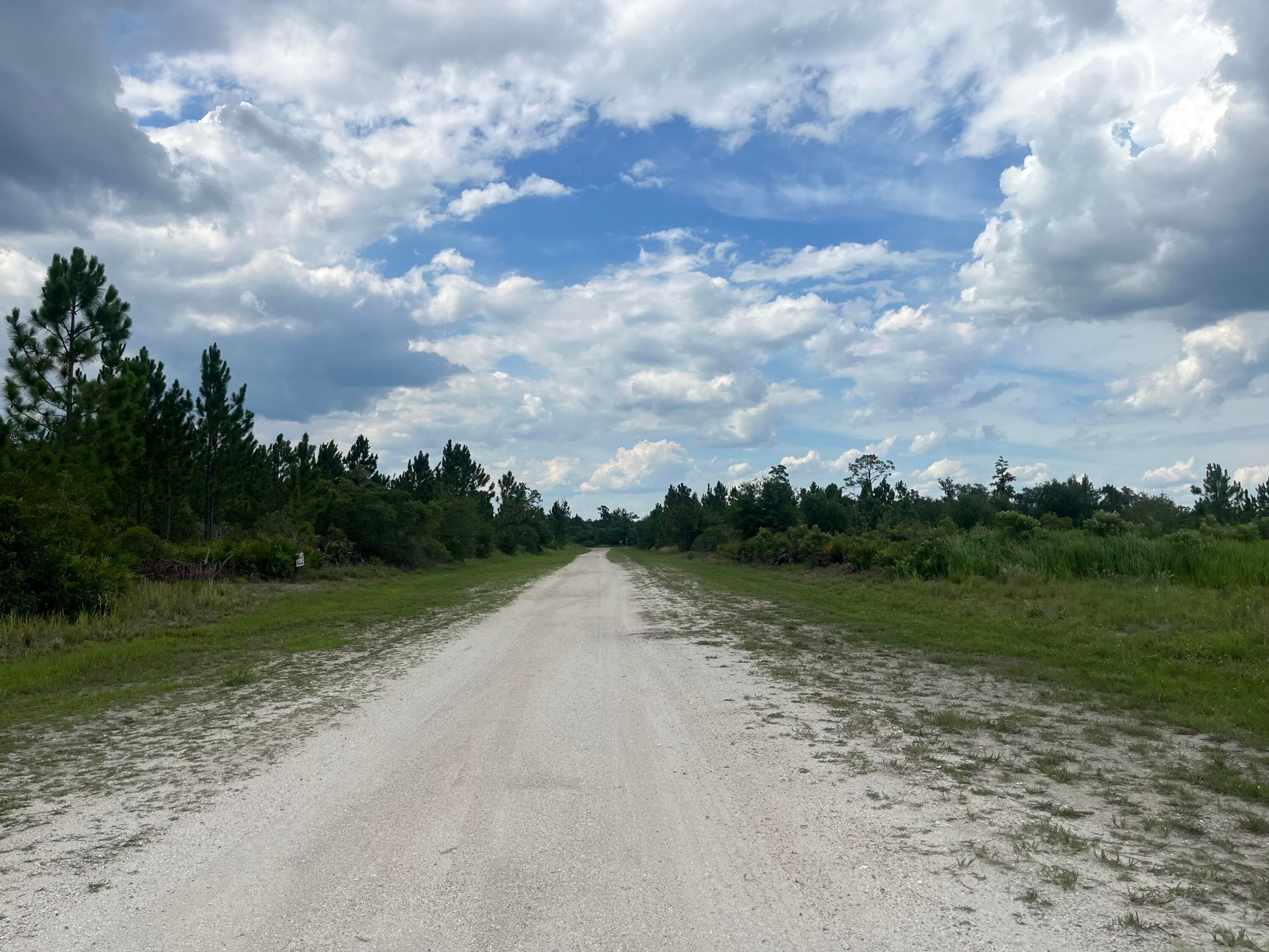 0 Pinnata Drive, Lake Wales, FL 33898 — photo 5 of 10