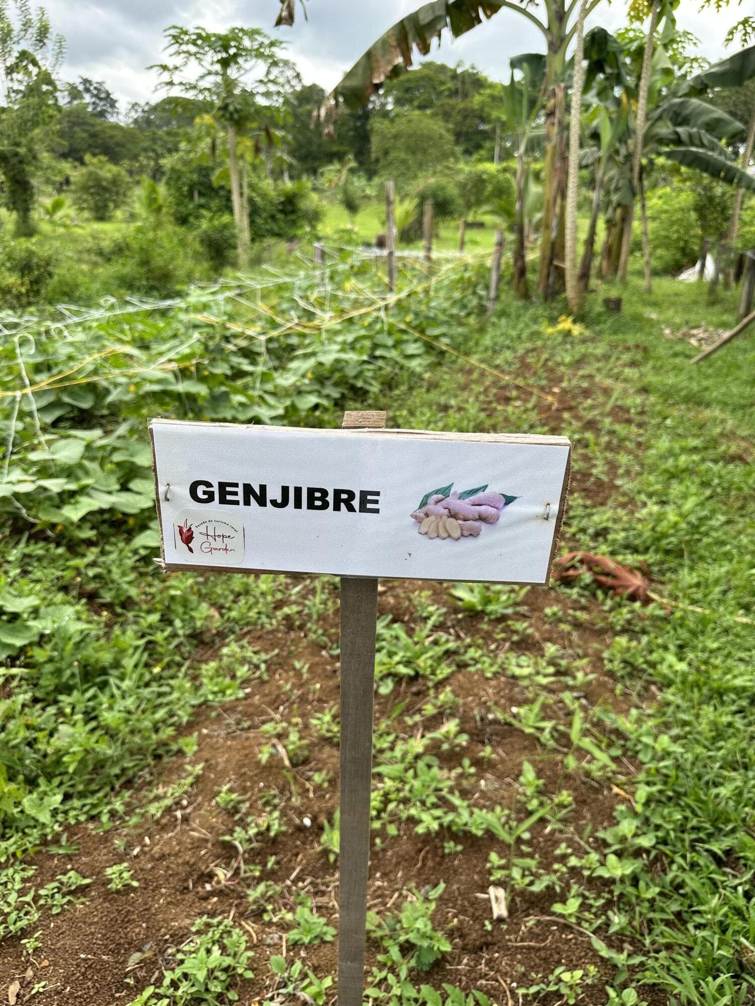0000 Hope Garden, 00000 — photo 27 of 38
