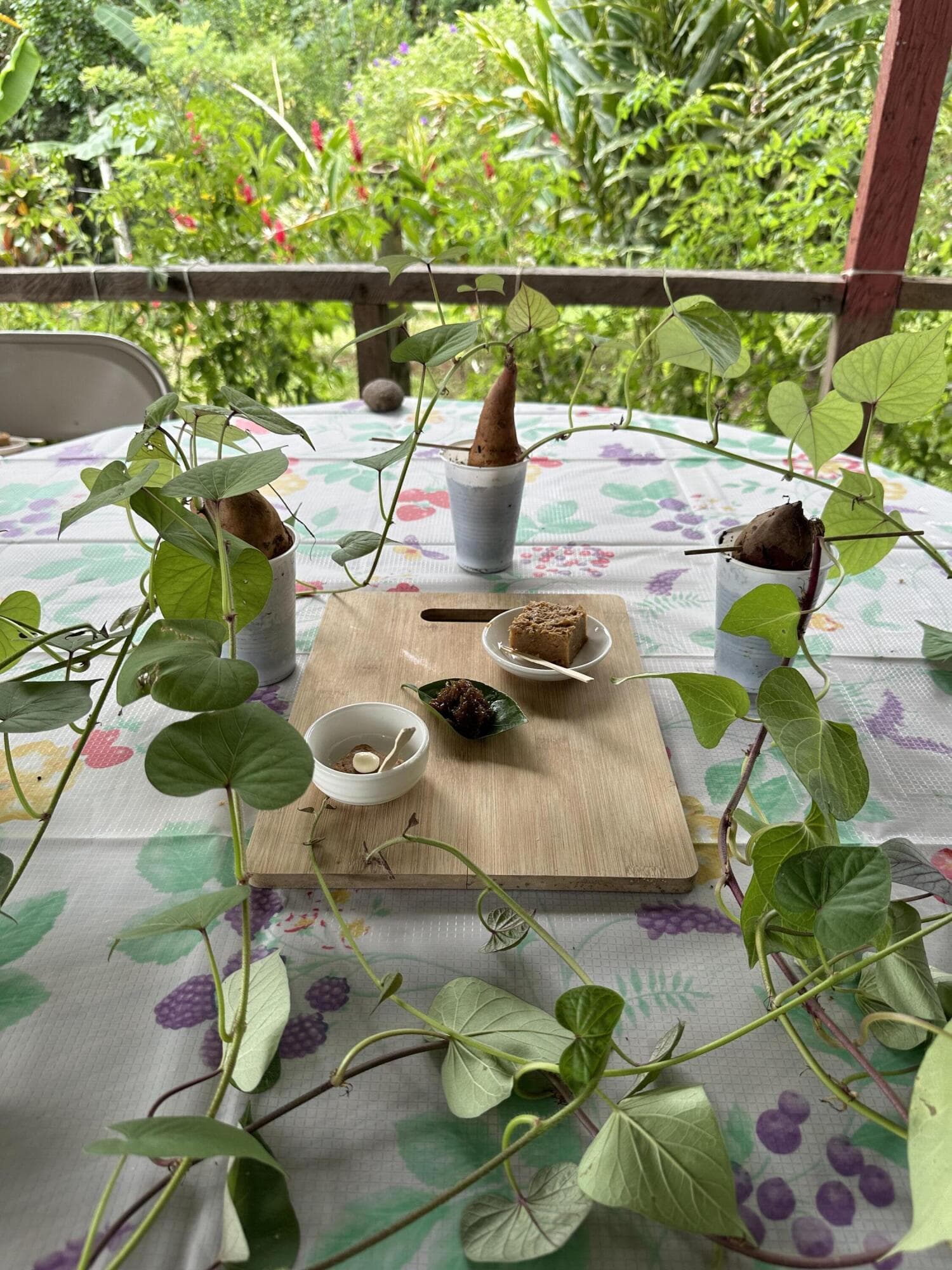 0000 Hope Garden, 00000 — photo 30 of 38