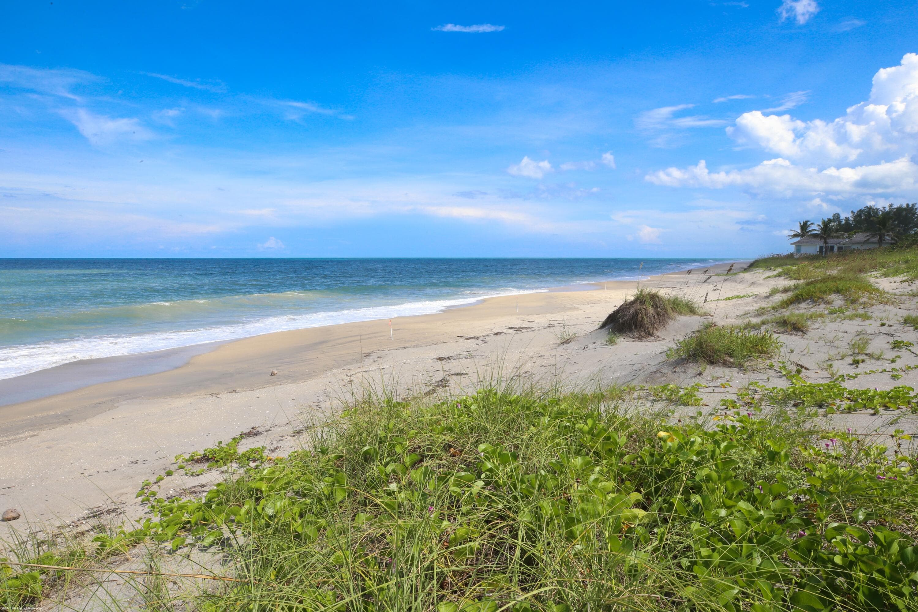 162 N Beach Road, Jupiter Island, FL 33455 — photo 68 of 73