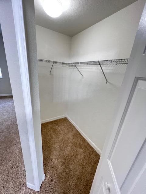 3510 Shoma Drive, Royal Palm Beach, FL 33414 — photo 13 of 15
