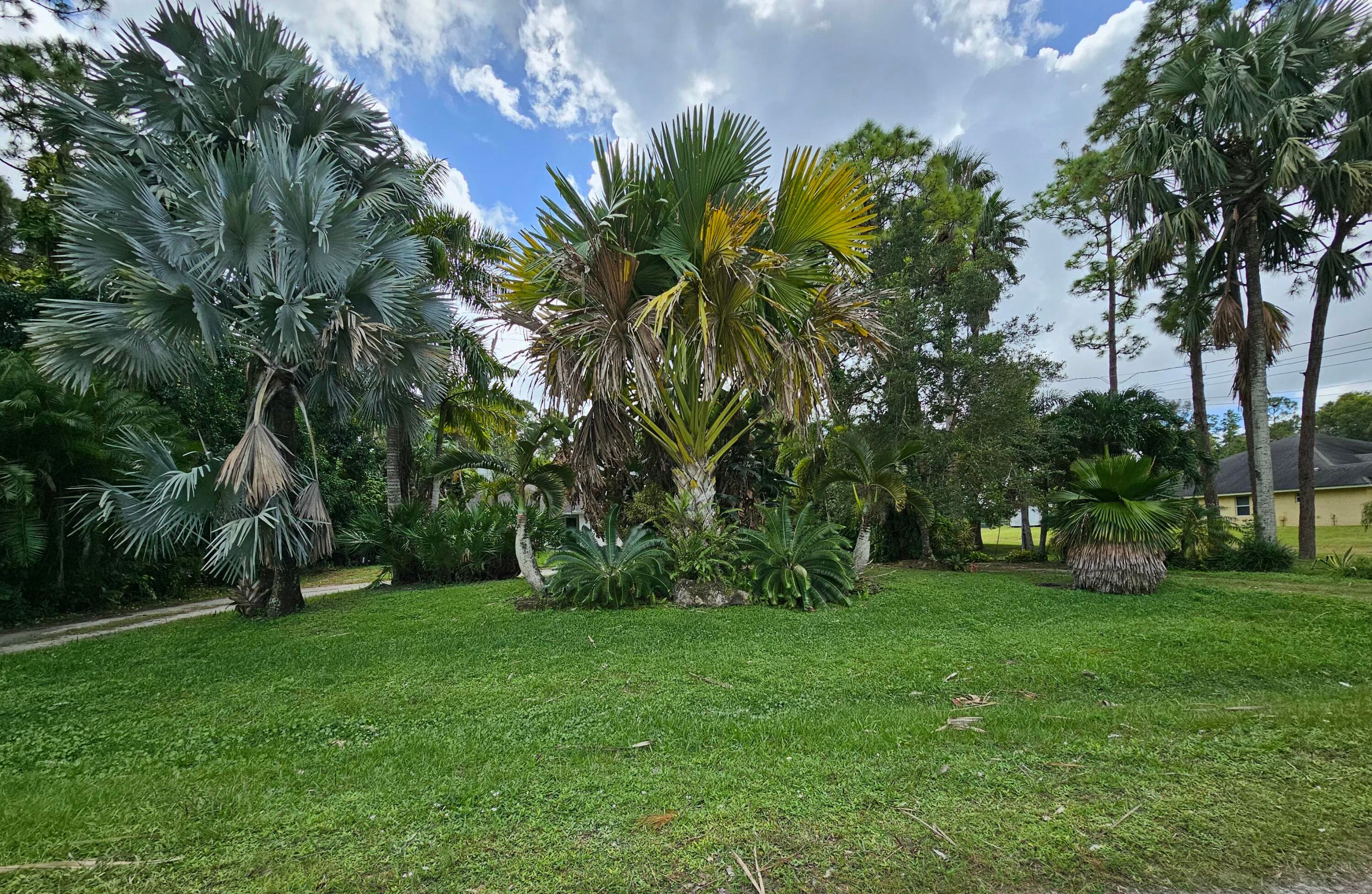 16318 E Brighton Drive, Loxahatchee, FL 33470 — photo 11 of 12