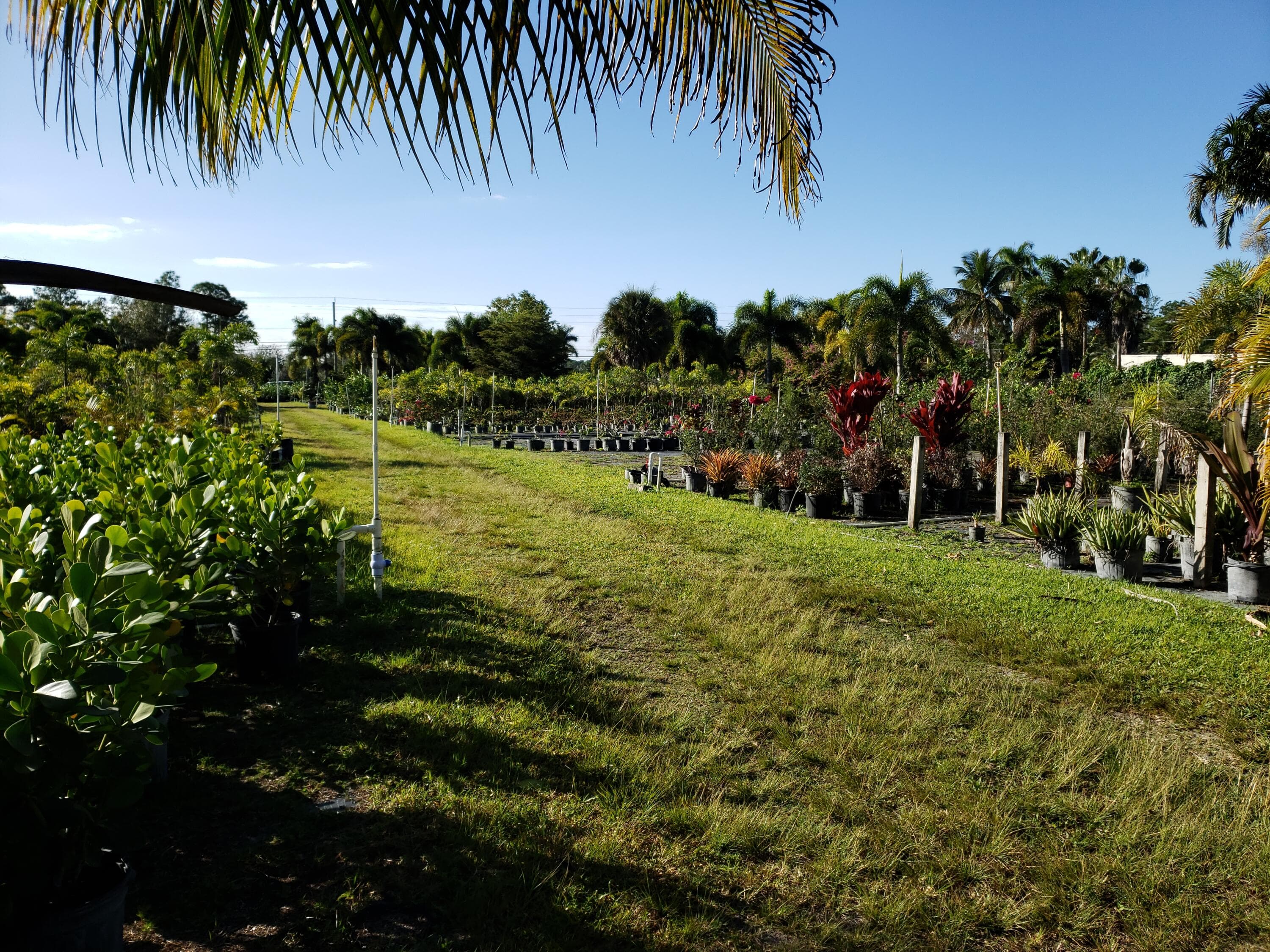 14375 Okeechobee Boulevard, Loxahatchee Groves, FL 33470 — photo 3 of 6