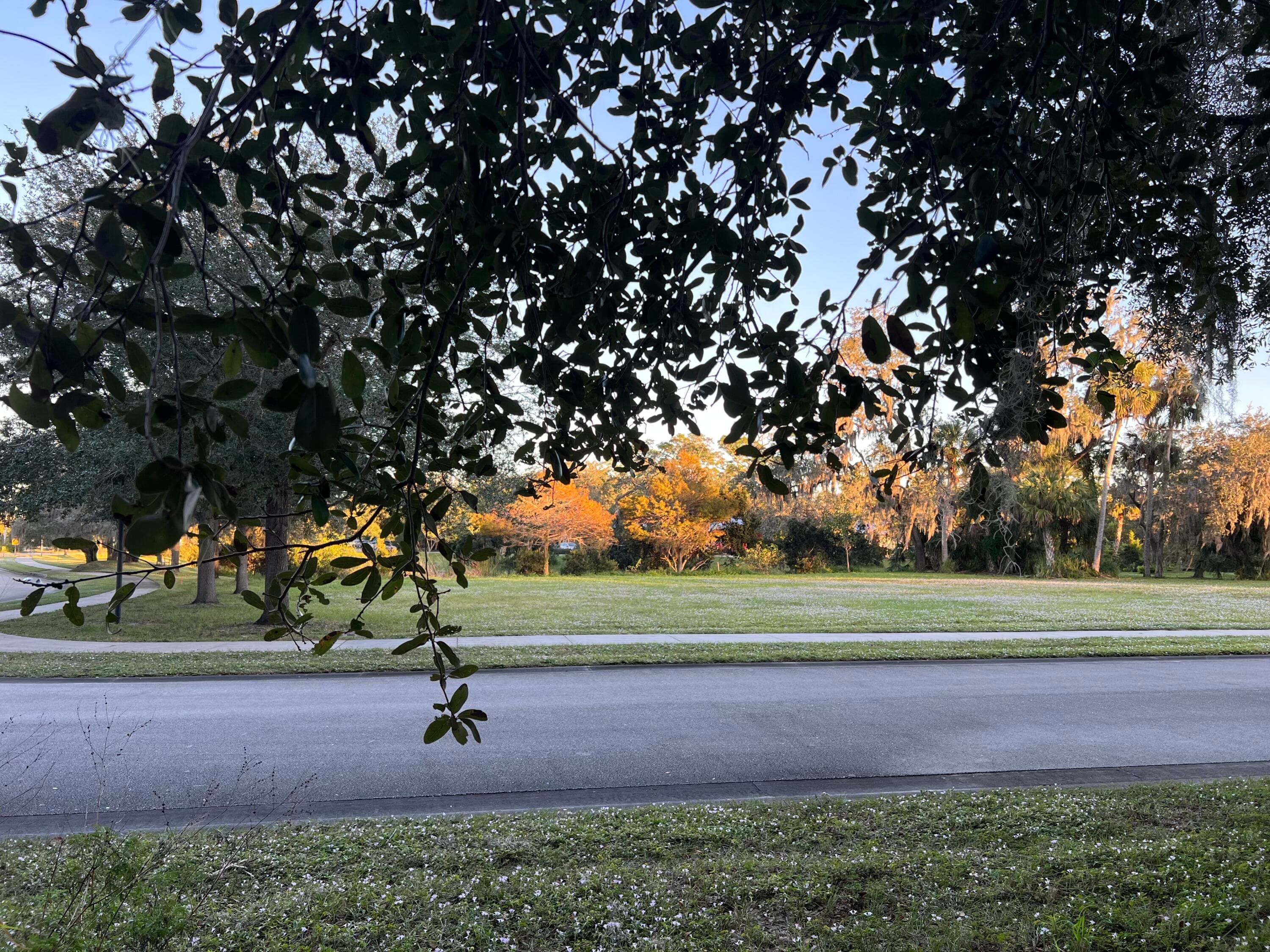 11324 Ganesh Way, Sebastian, FL 32958 — photo 8 of 16
