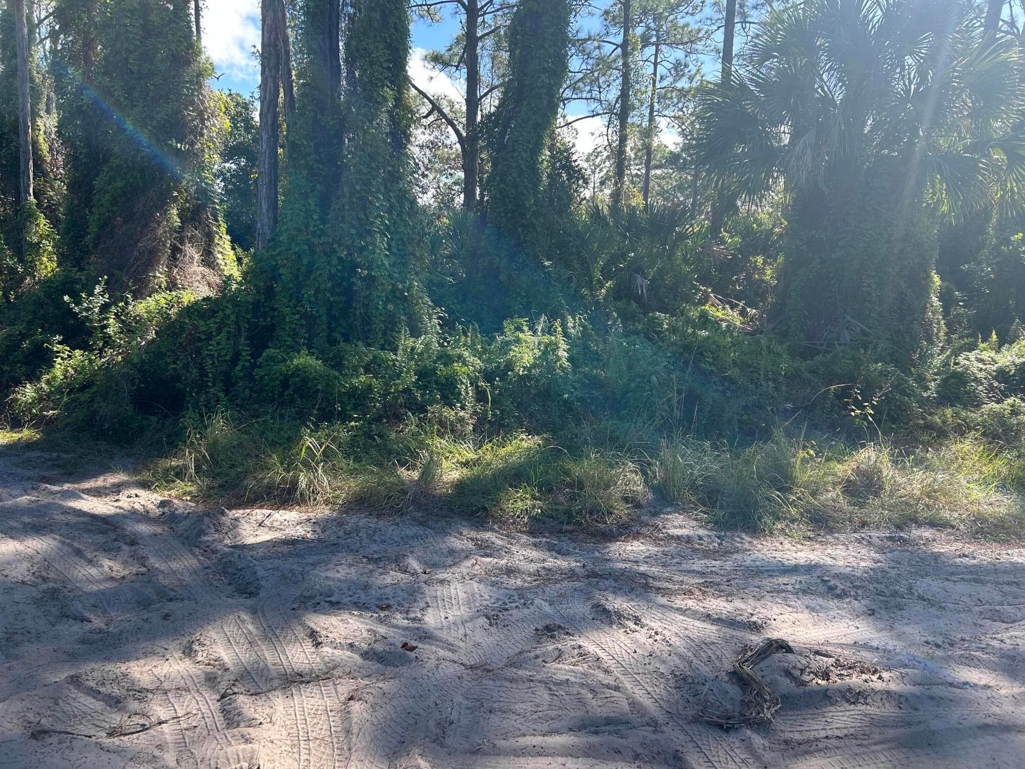 0 Slash Pine Trail, Fort Pierce, FL 34945 — photo