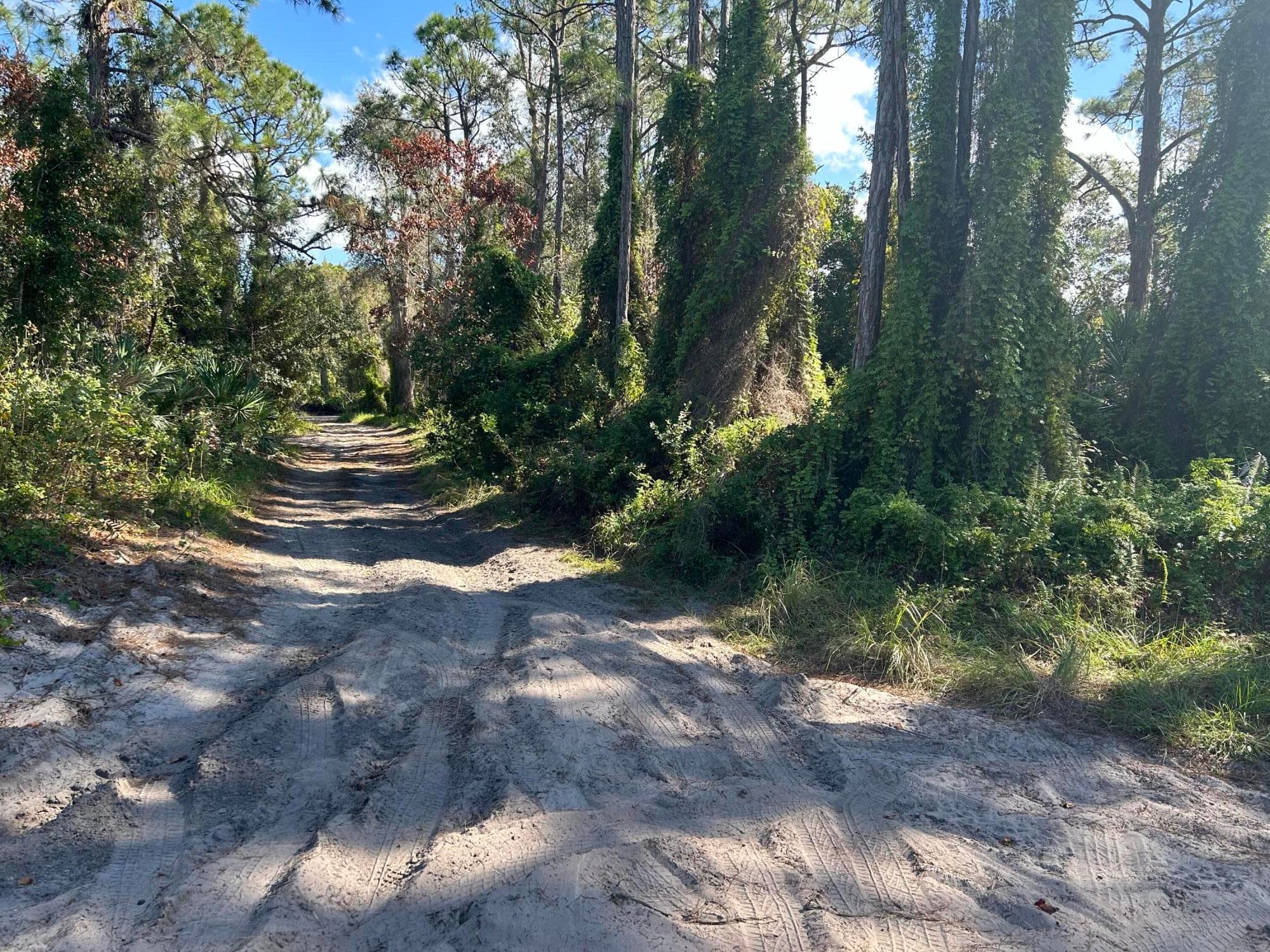 0 Slash Pine Trail, Fort Pierce, FL 34945 — photo 2 of 4