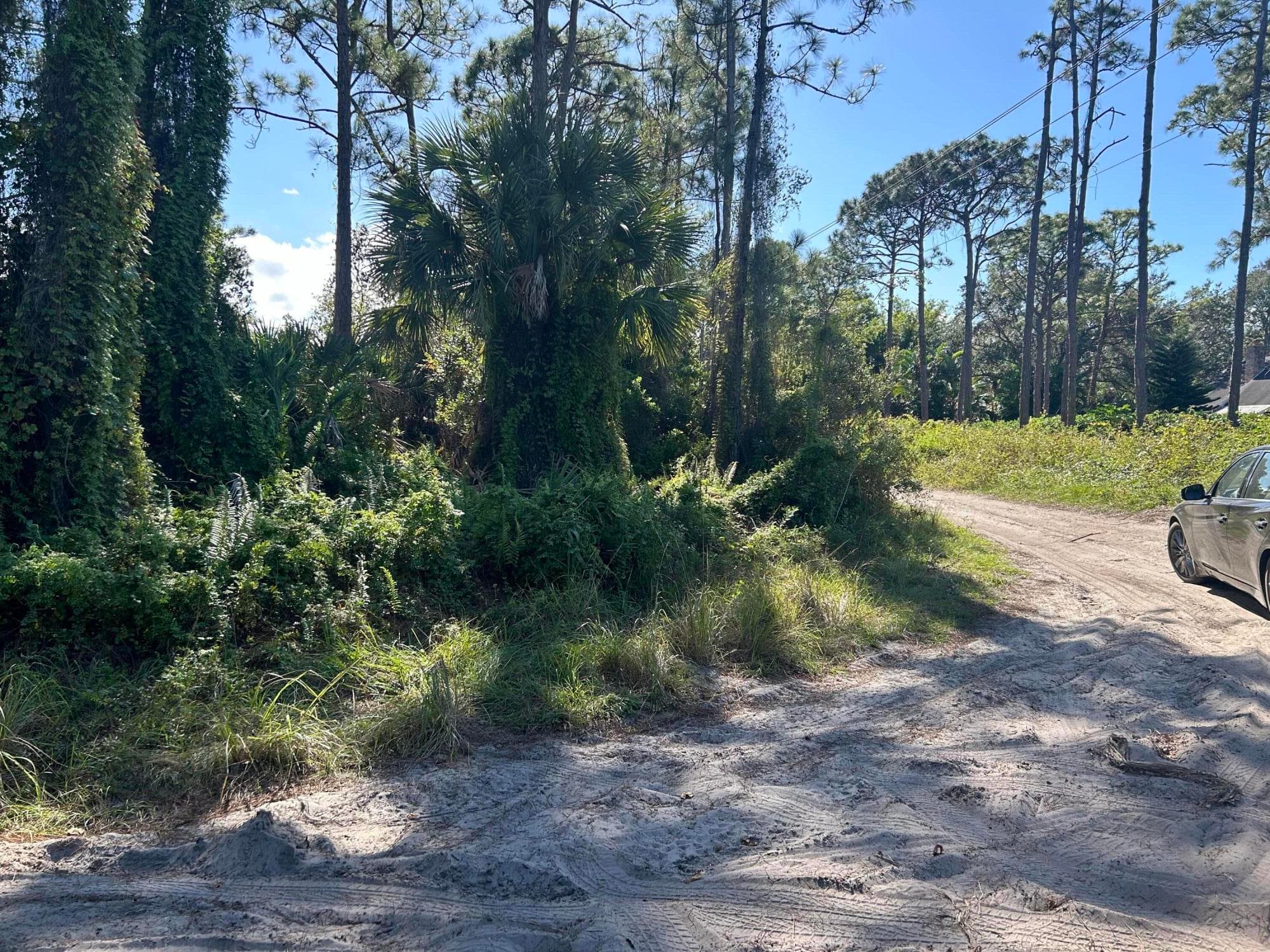 0 Slash Pine Trail, Fort Pierce, FL 34945 — photo 4 of 4