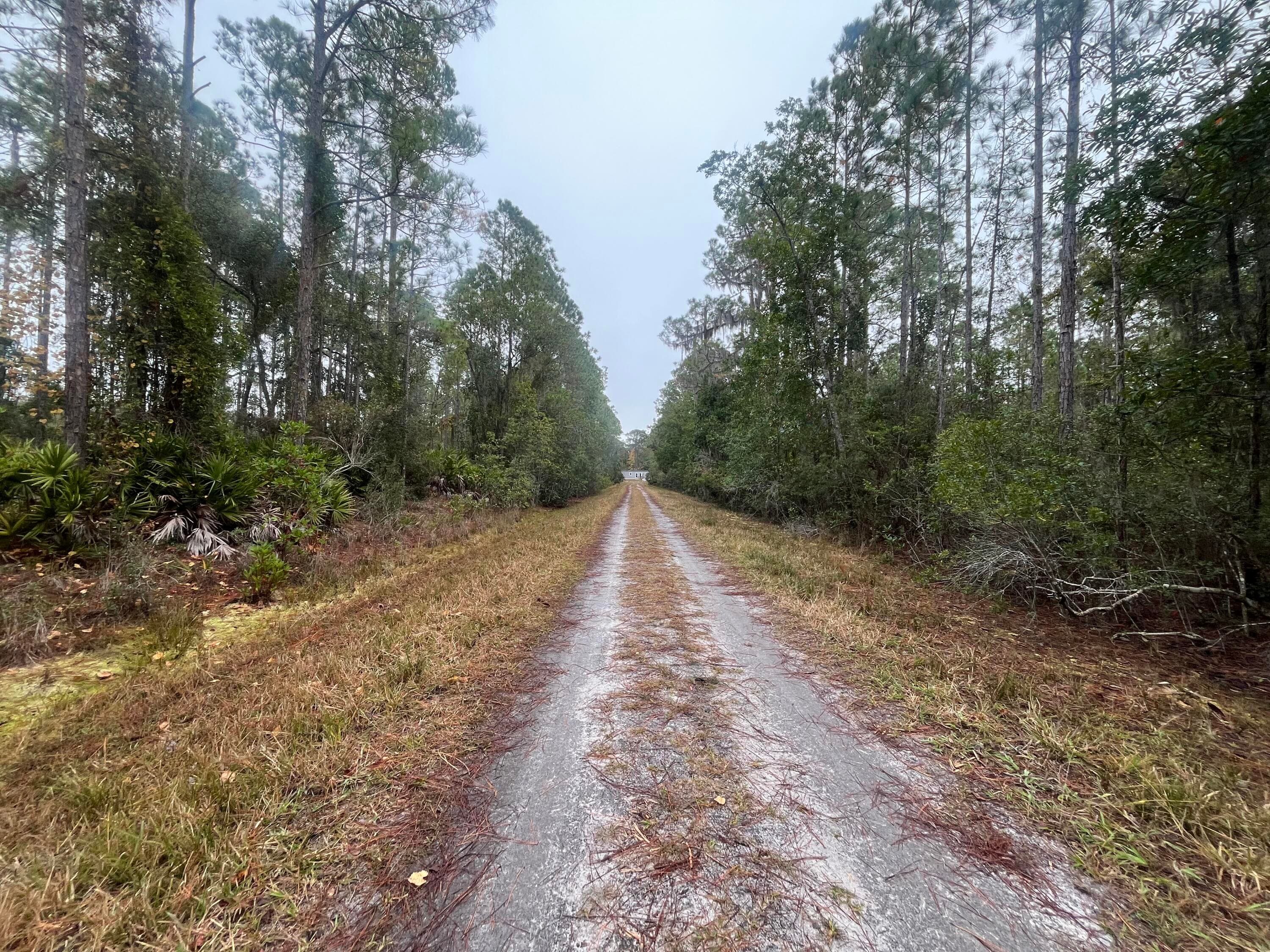 222 Marie Avenue, Georgetown, FL 32139 — photo 12 of 13