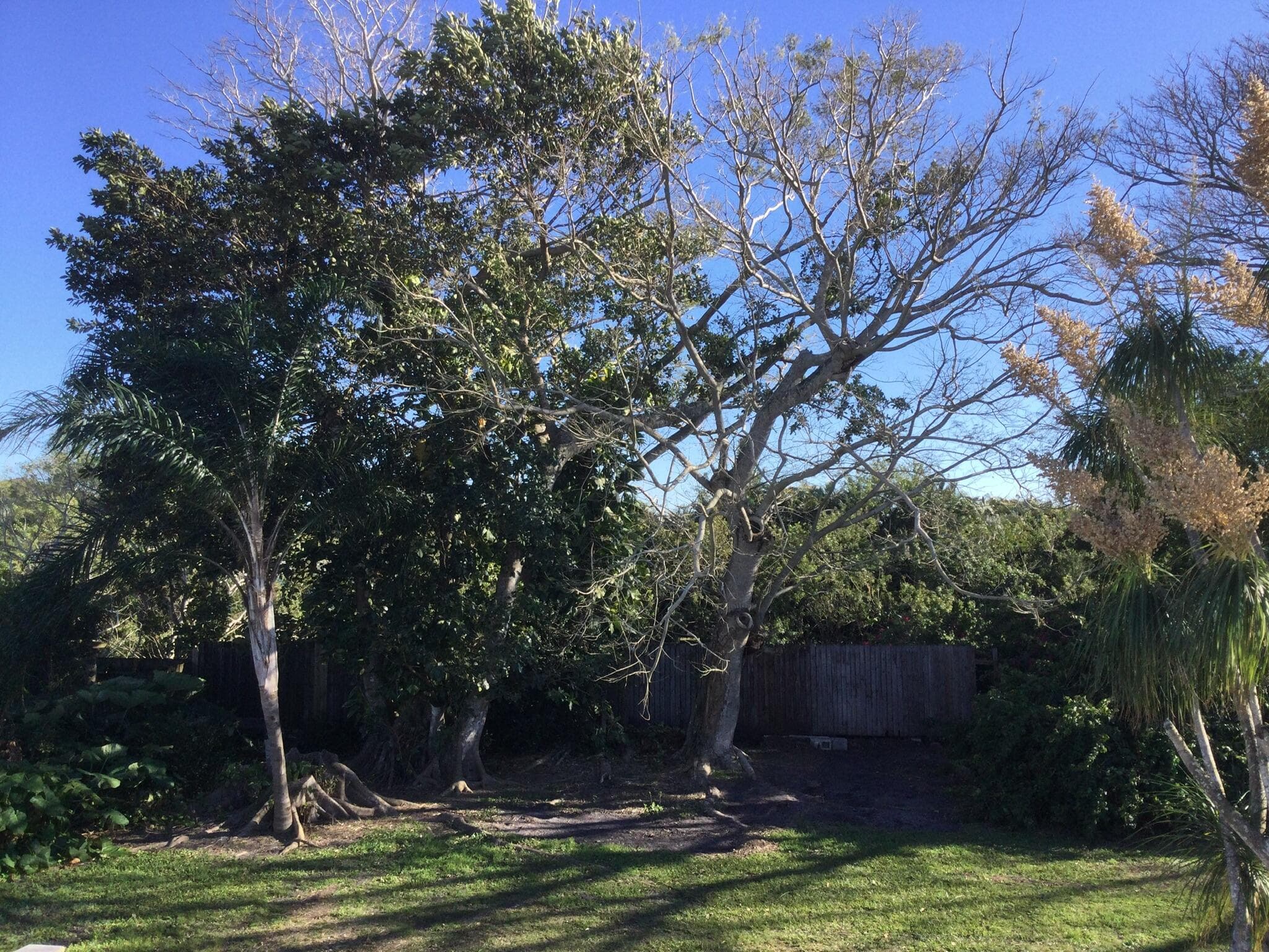 100 SE Naranja Avenue, Port St. Lucie, FL 34983 — photo 45 of 50