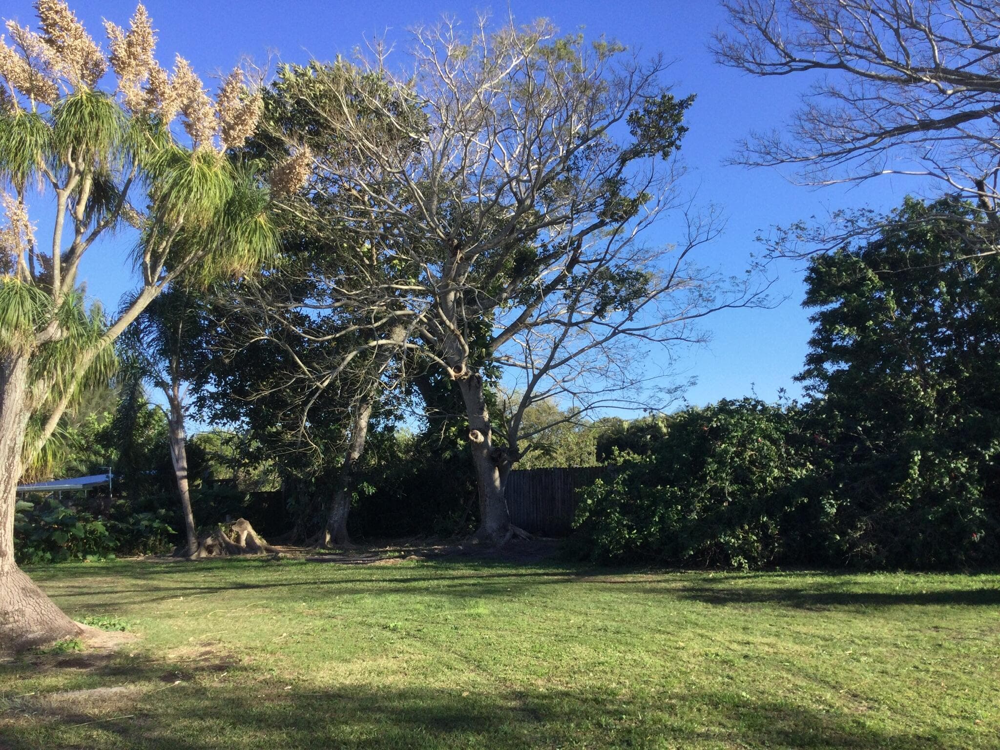 100 SE Naranja Avenue, Port St. Lucie, FL 34983 — photo 47 of 50