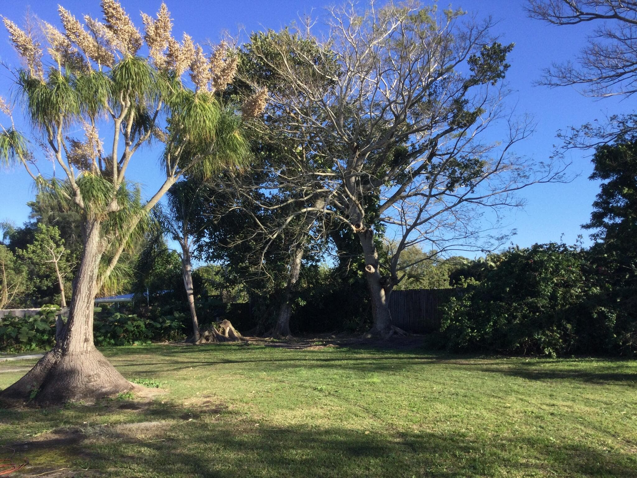 100 SE Naranja Avenue, Port St. Lucie, FL 34983 — photo 48 of 50