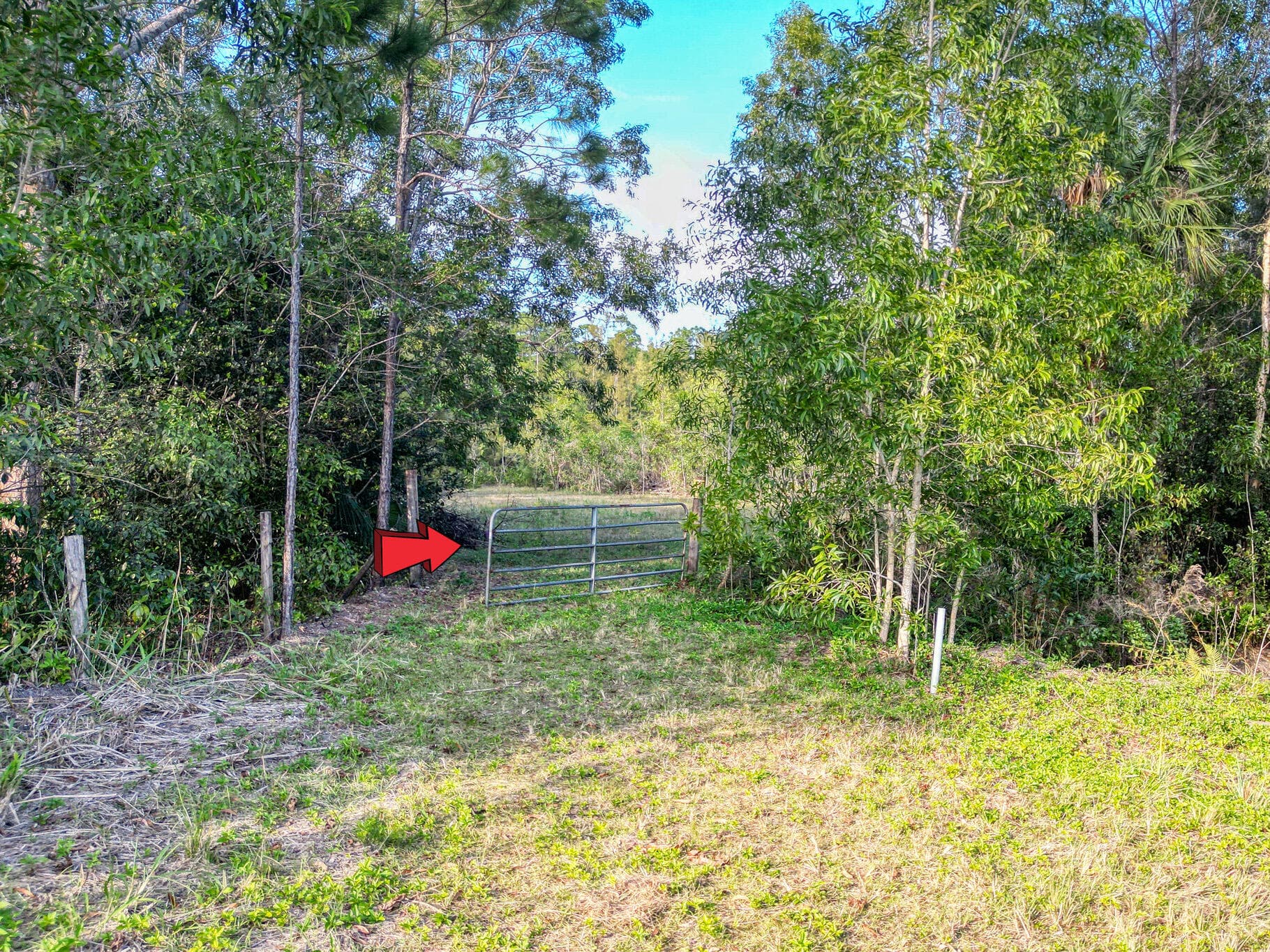 9205 Patricia Lane, Jupiter, FL 33478 — photo 7 of 7