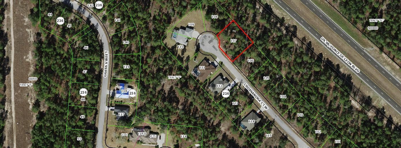 11 Crossandra Court W, Homosassa, FL 34446 — photo