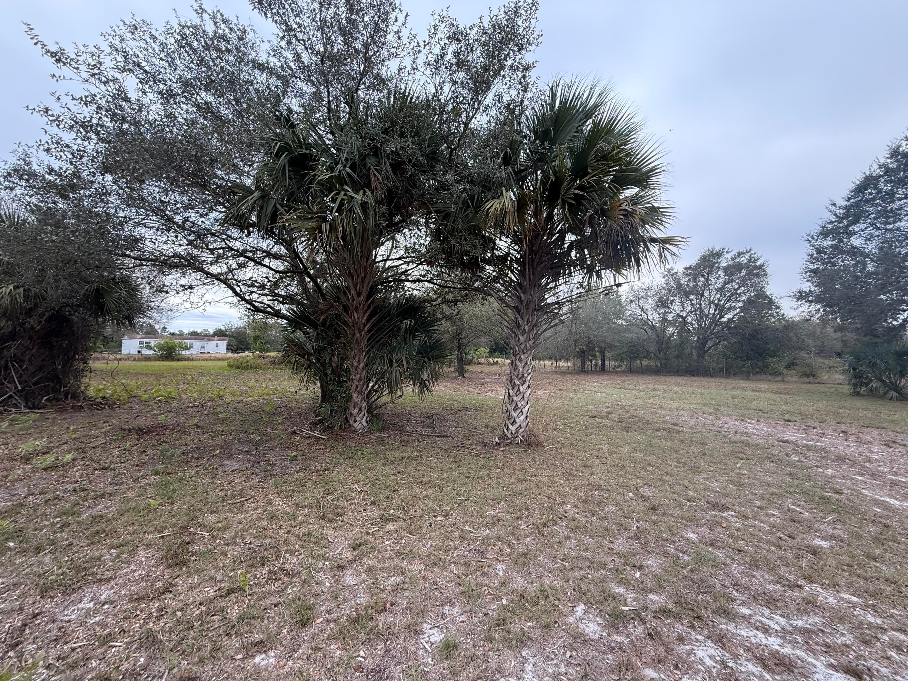 754 Hunting Club Avenue, Clewiston, FL 33440 — photo 8 of 33