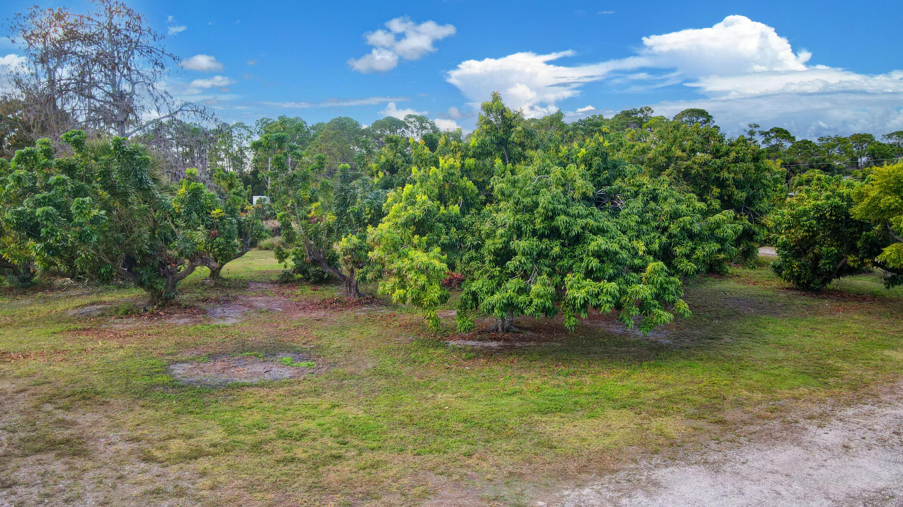 3446 Cabbage Palm Way, Loxahatchee, FL 33470 — photo 44 of 57