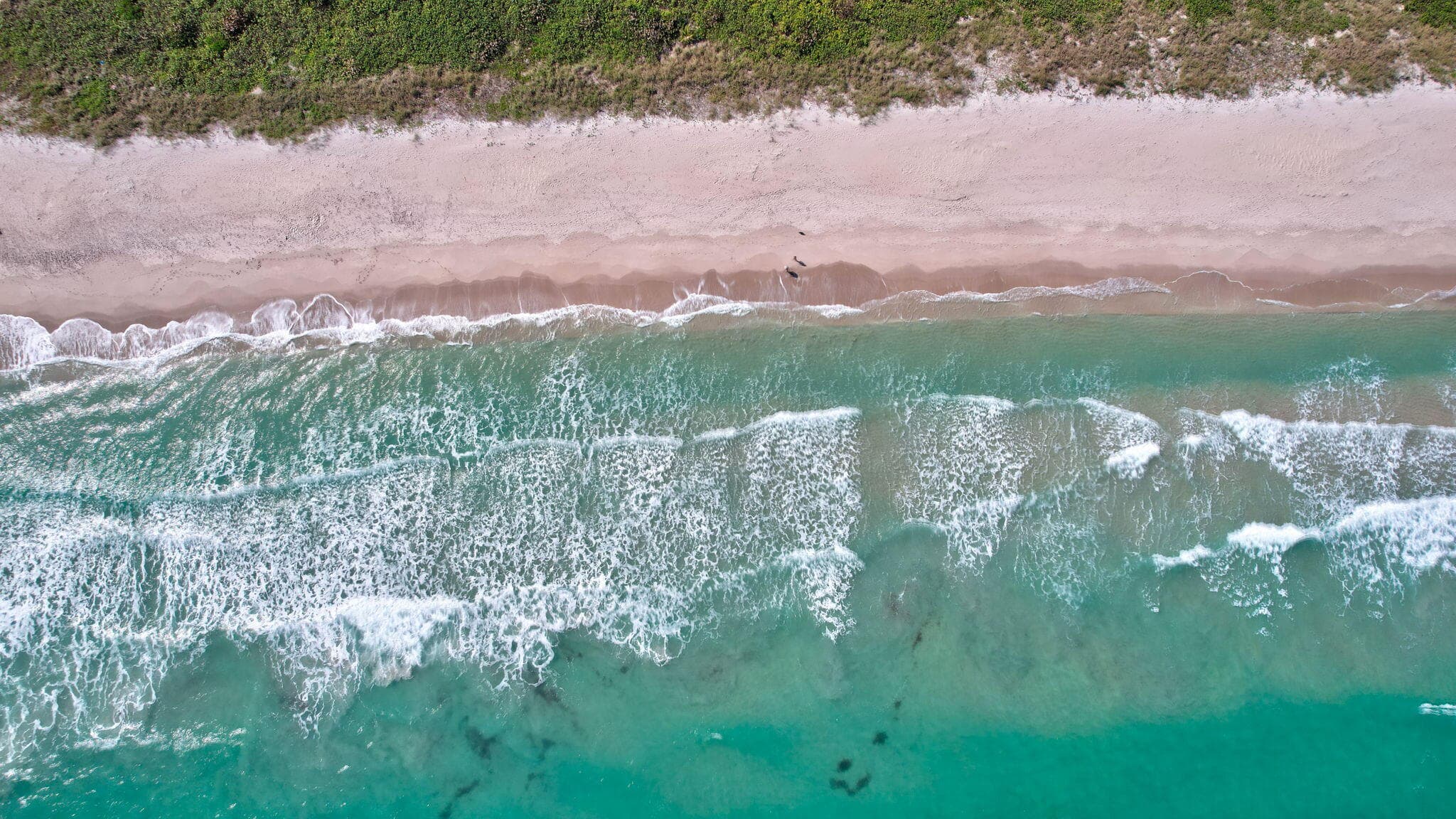 5051 N Highway A1a Ph 2-3, Hutchinson Island, FL 34949 — photo 52 of 58